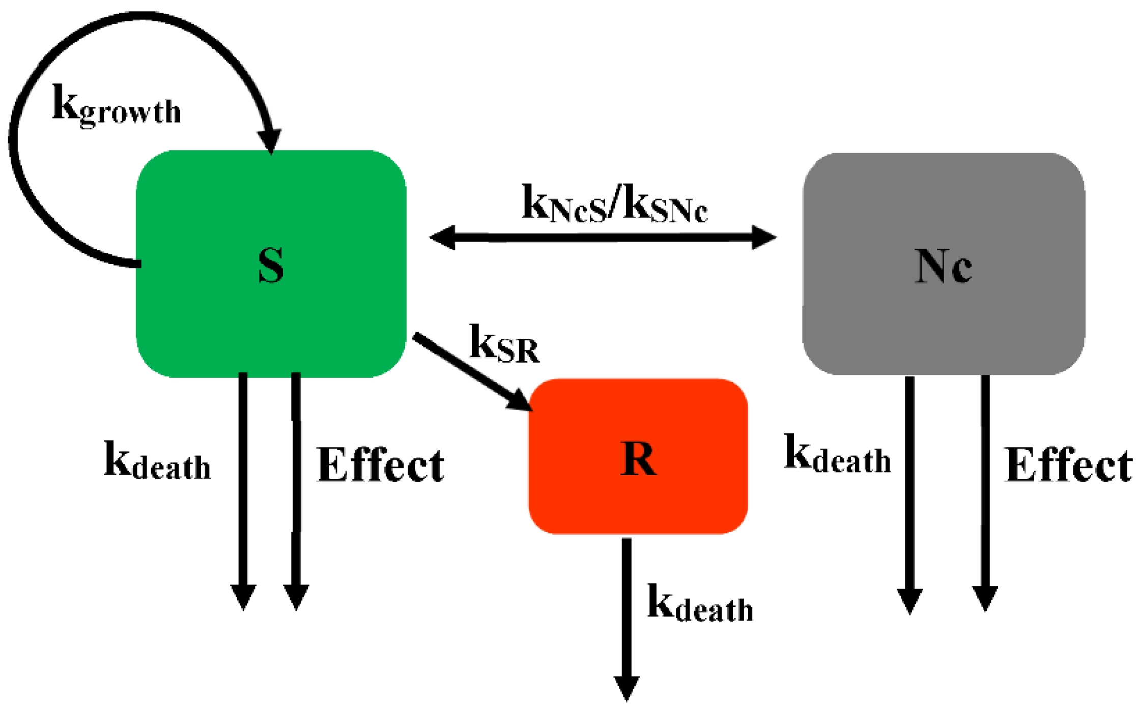 Pharmaceutics 14 00246 g004