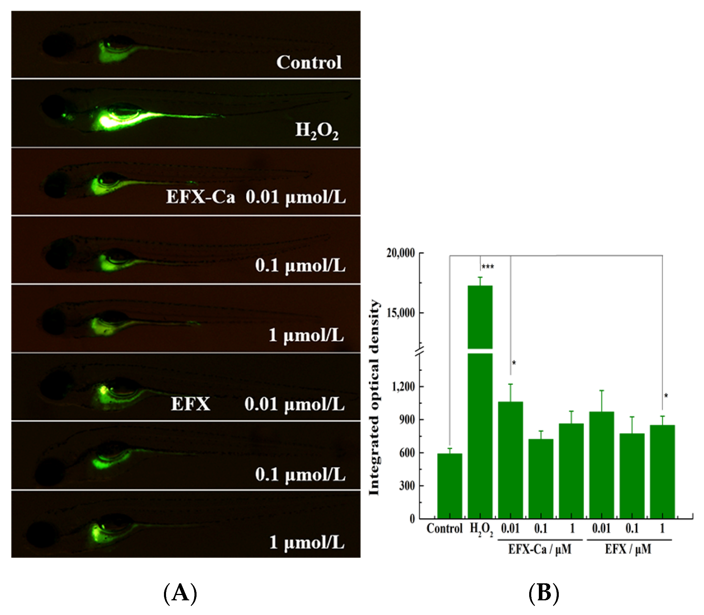 Pharmaceutics 14 00249 g007