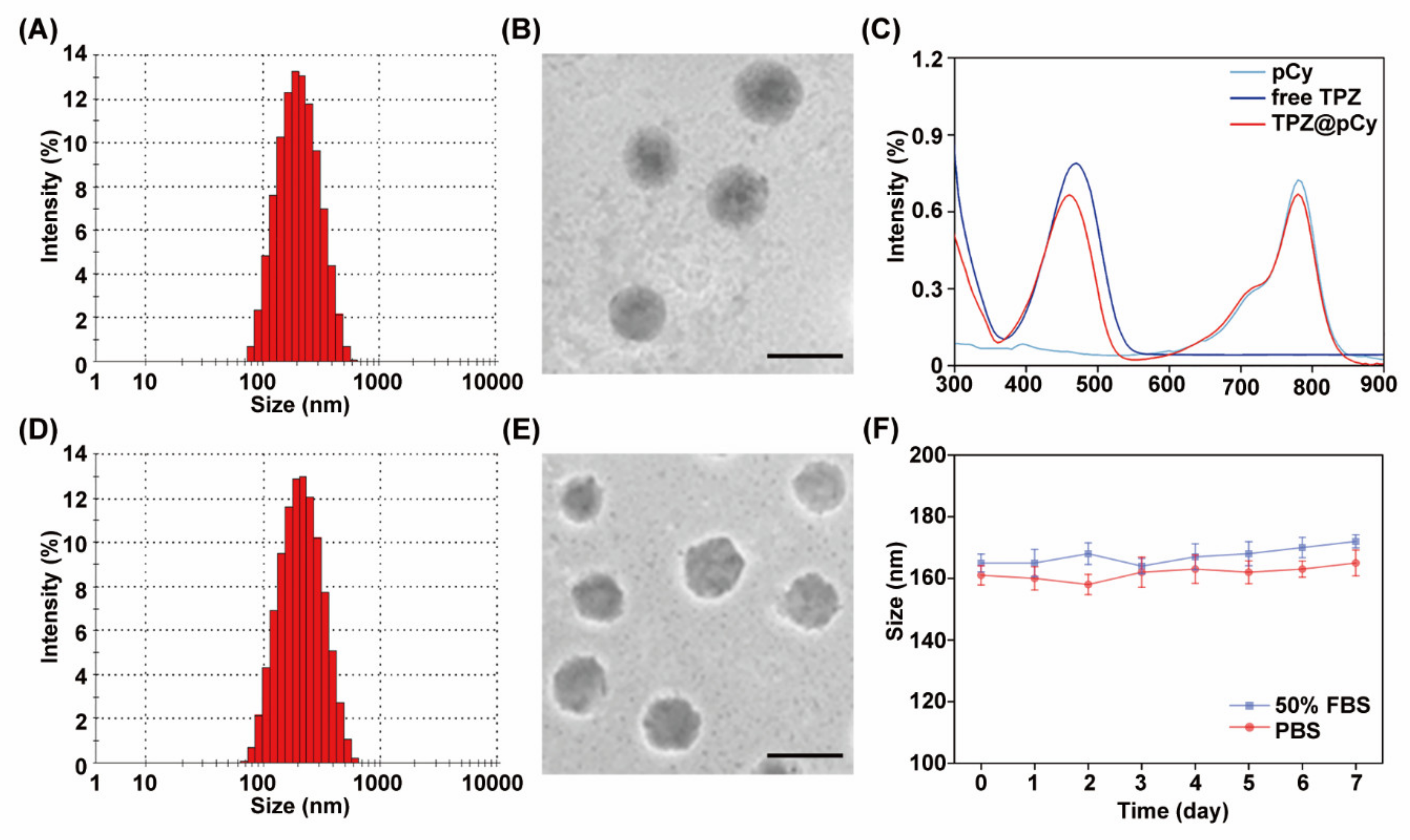Pharmaceutics 14 00253 g002 Pharmaceutics 14 00253 g002