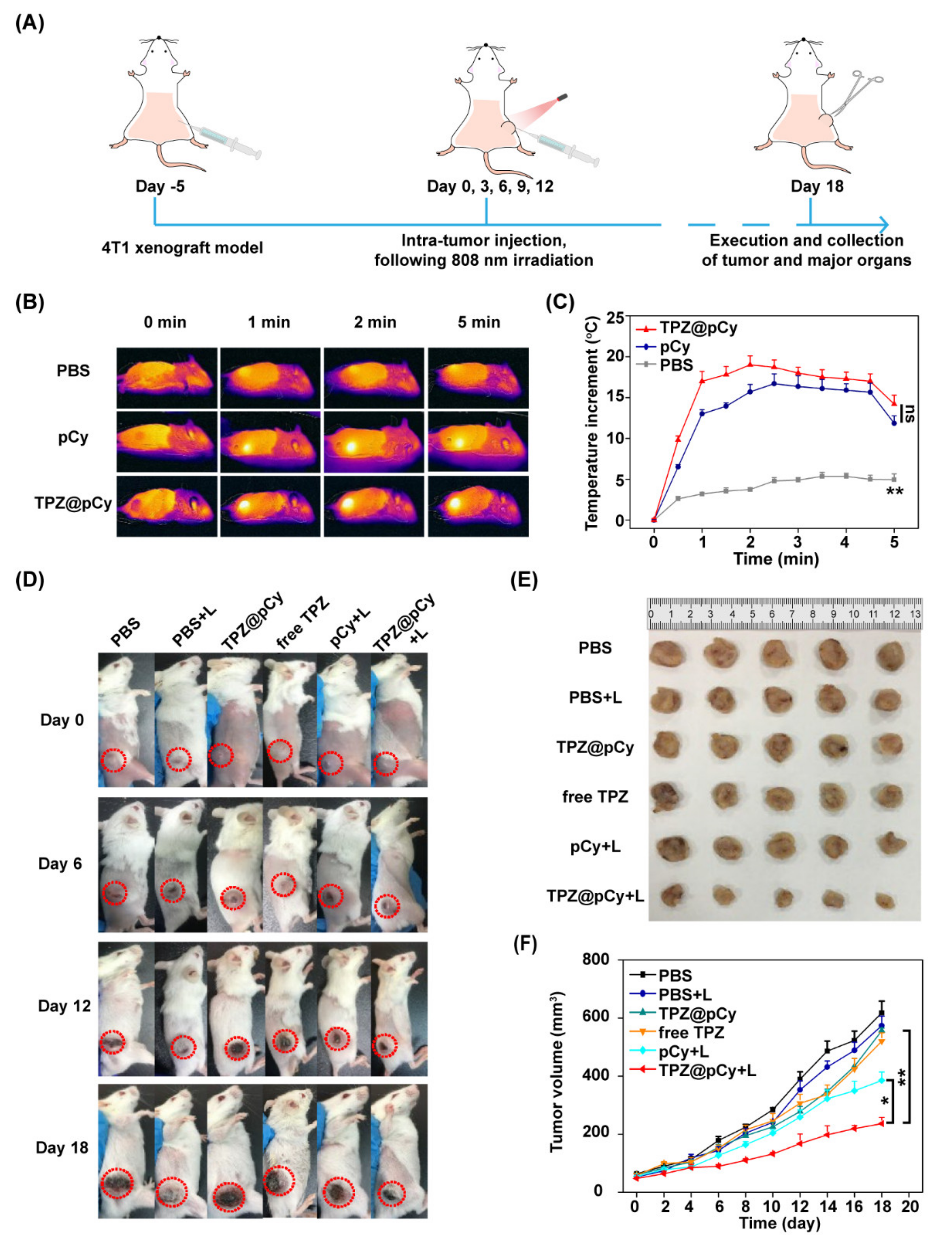 Pharmaceutics 14 00253 g008 Pharmaceutics 14 00253 g008