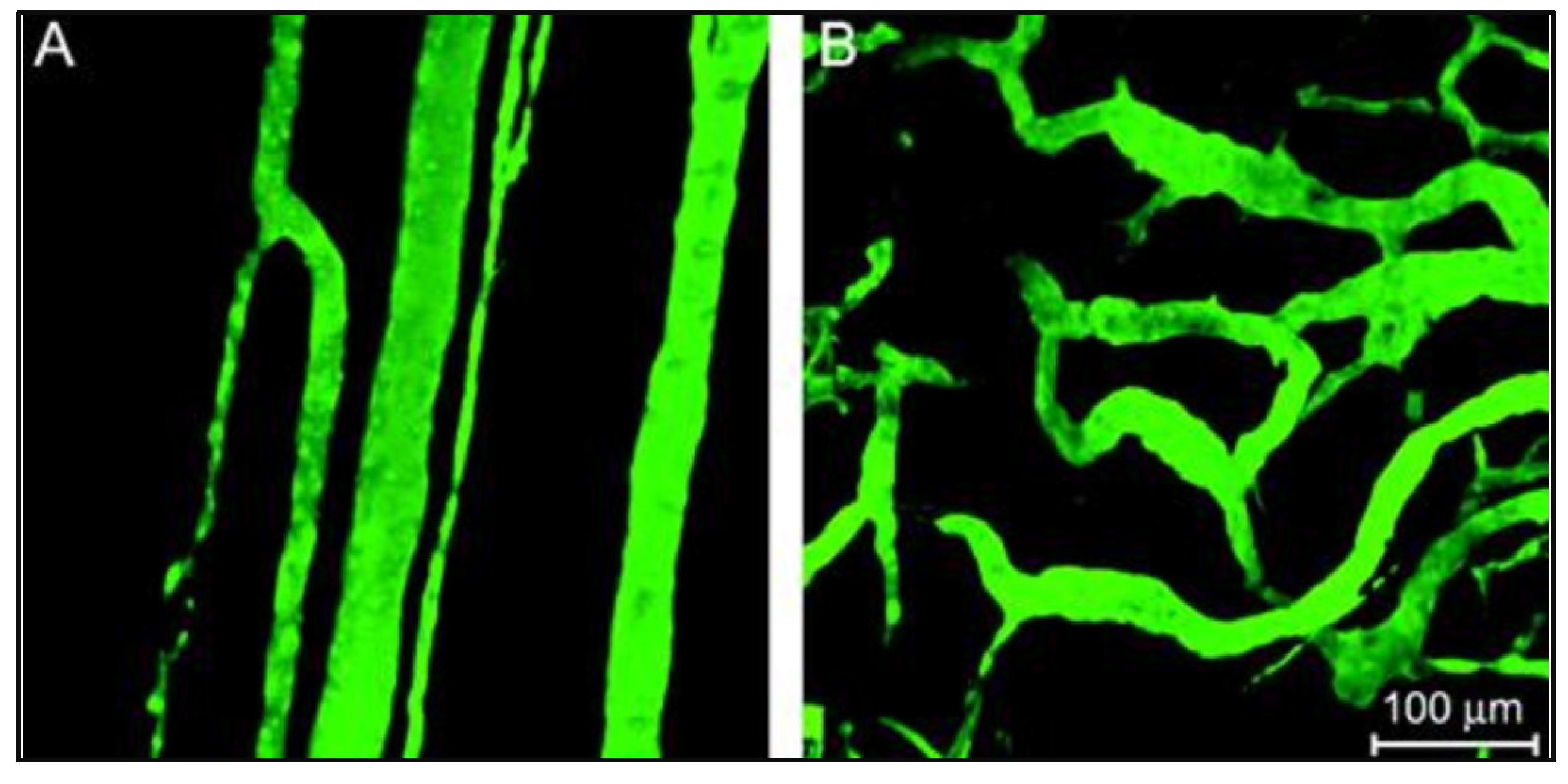 Pharmaceutics 14 00254 g003