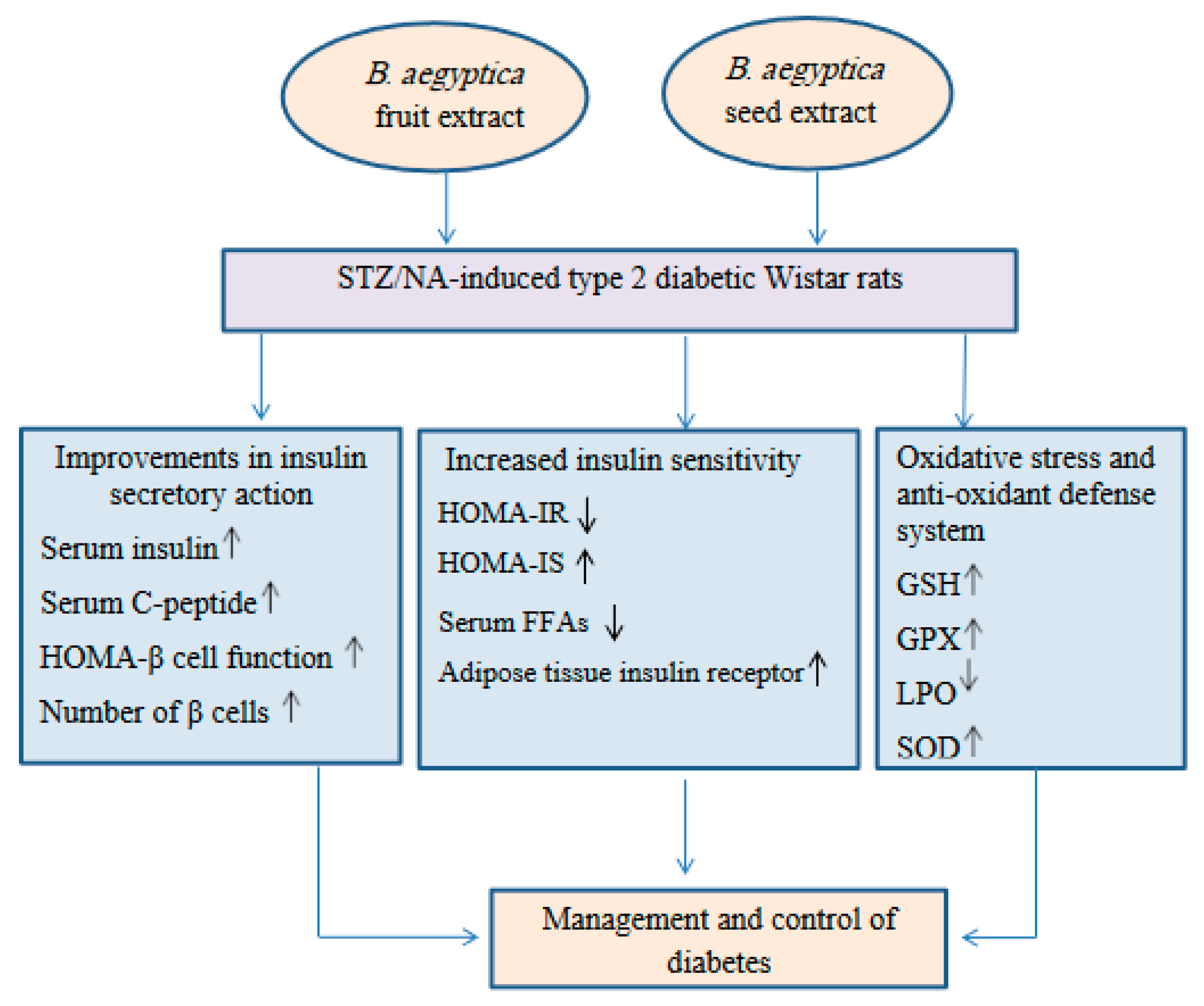 Pharmaceutics 14 00263 g006