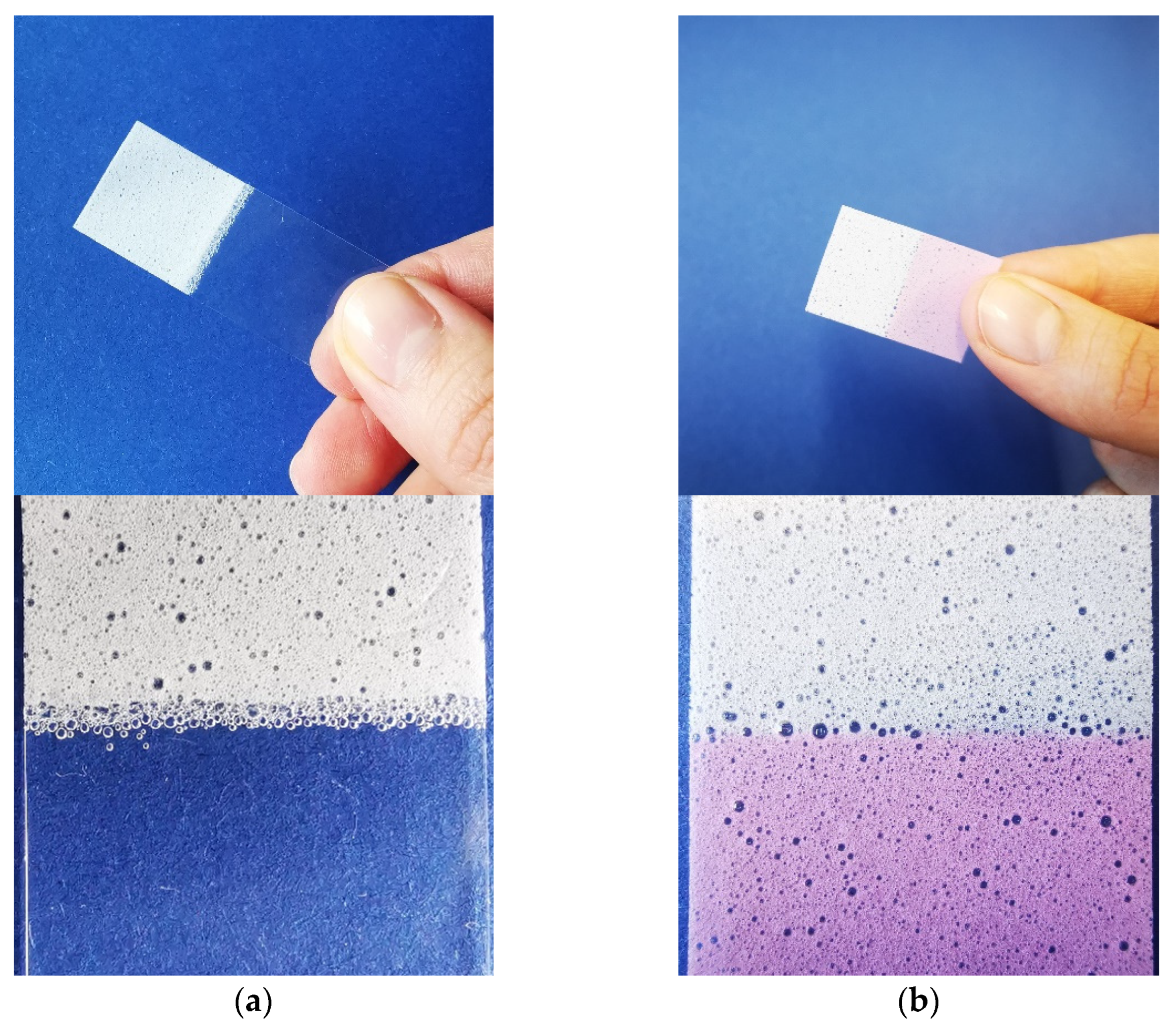 Pharmaceutics 14 00264 g009