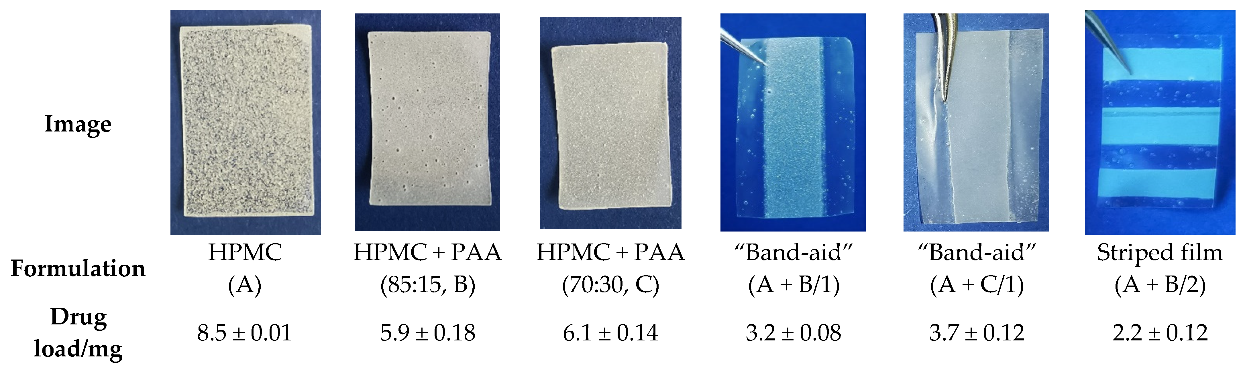 Pharmaceutics 14 00264 g010