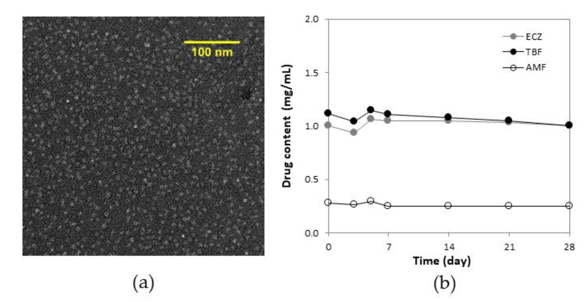 Pharmaceutics 14 00271 g002