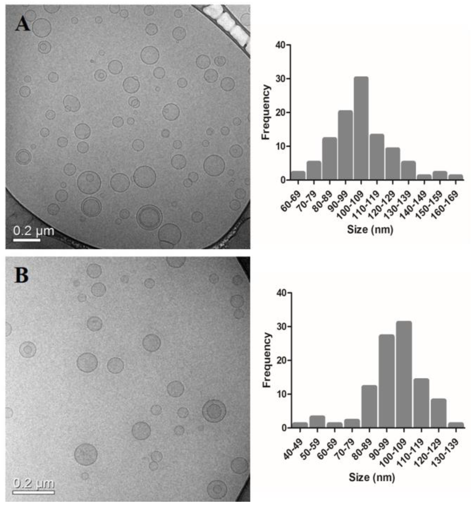 Pharmaceutics 14 00272 g001