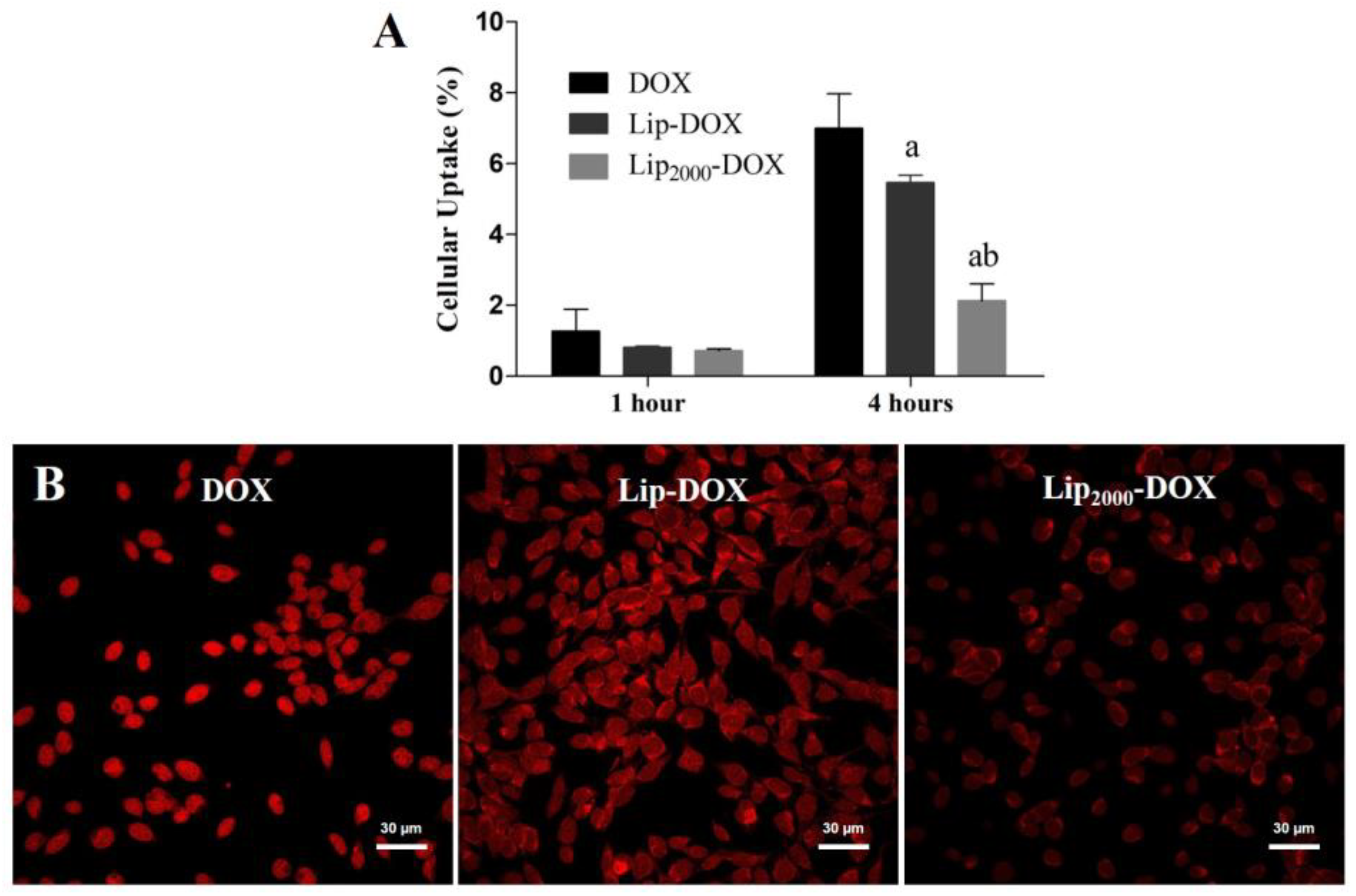 Pharmaceutics 14 00272 g002