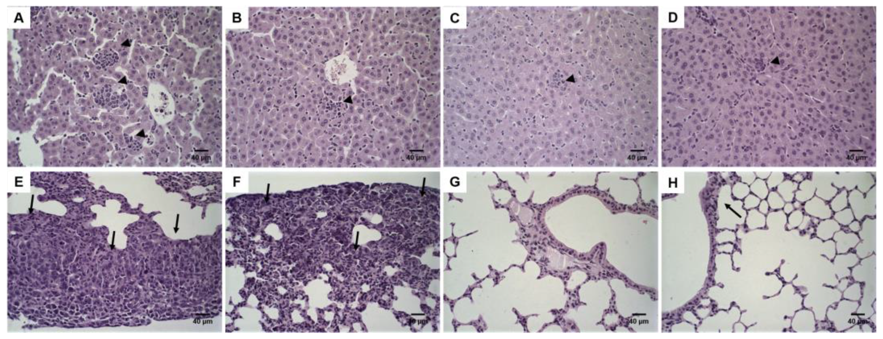 Pharmaceutics 14 00272 g005