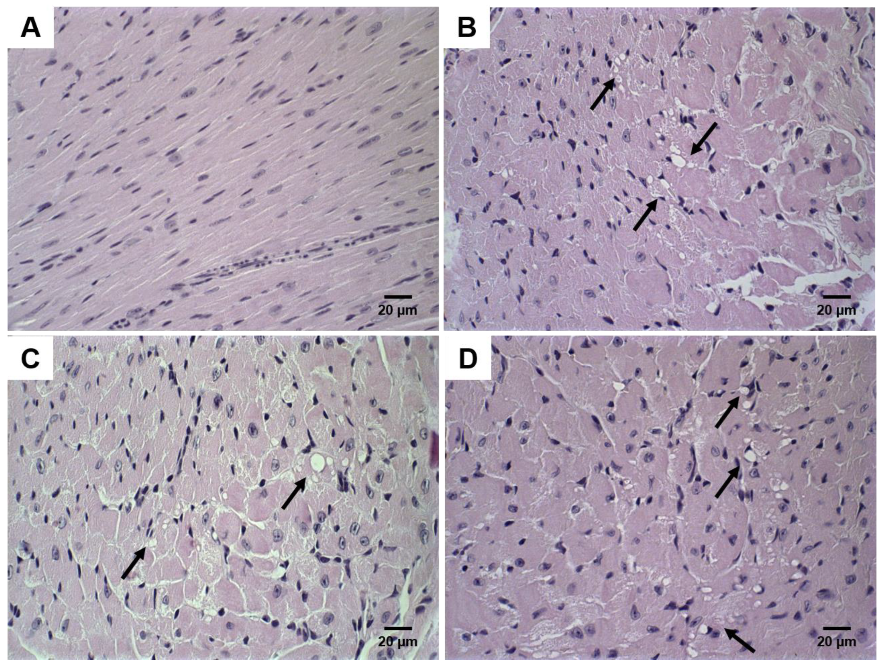 Pharmaceutics 14 00272 g006