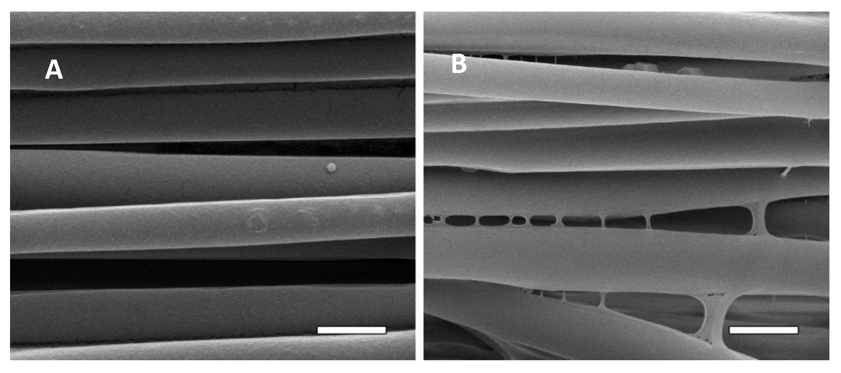 Pharmaceutics 14 00277 g008