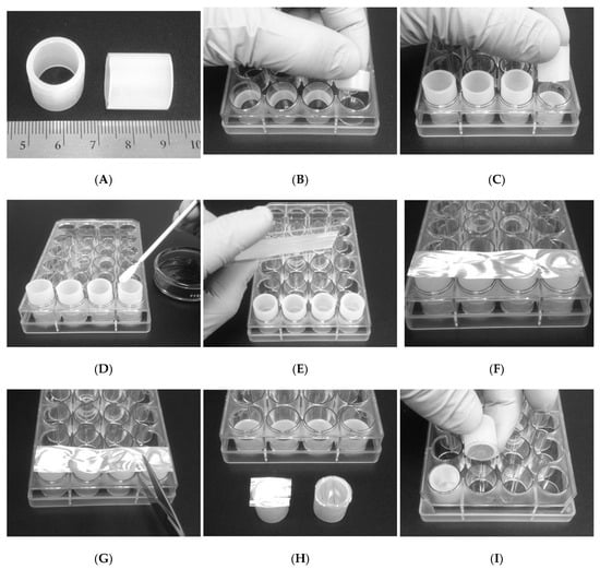 Pharmaceutics 14 00277 g0a1