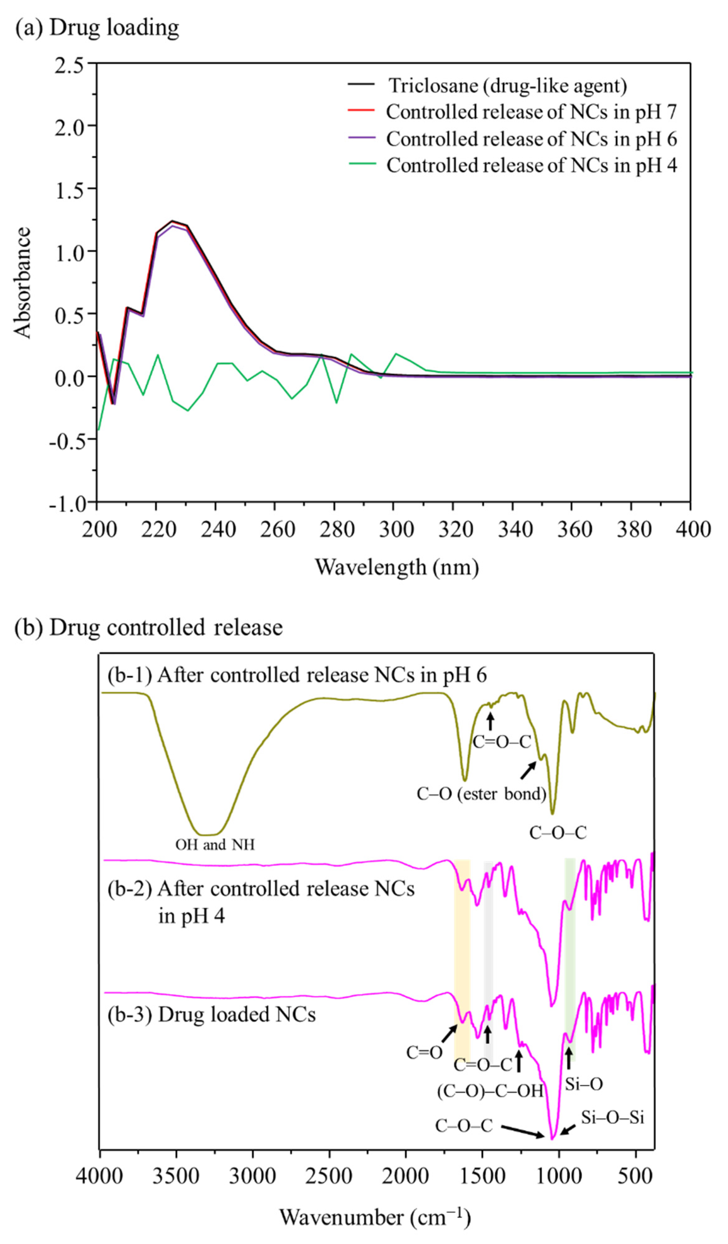 Pharmaceutics 14 00280 g007
