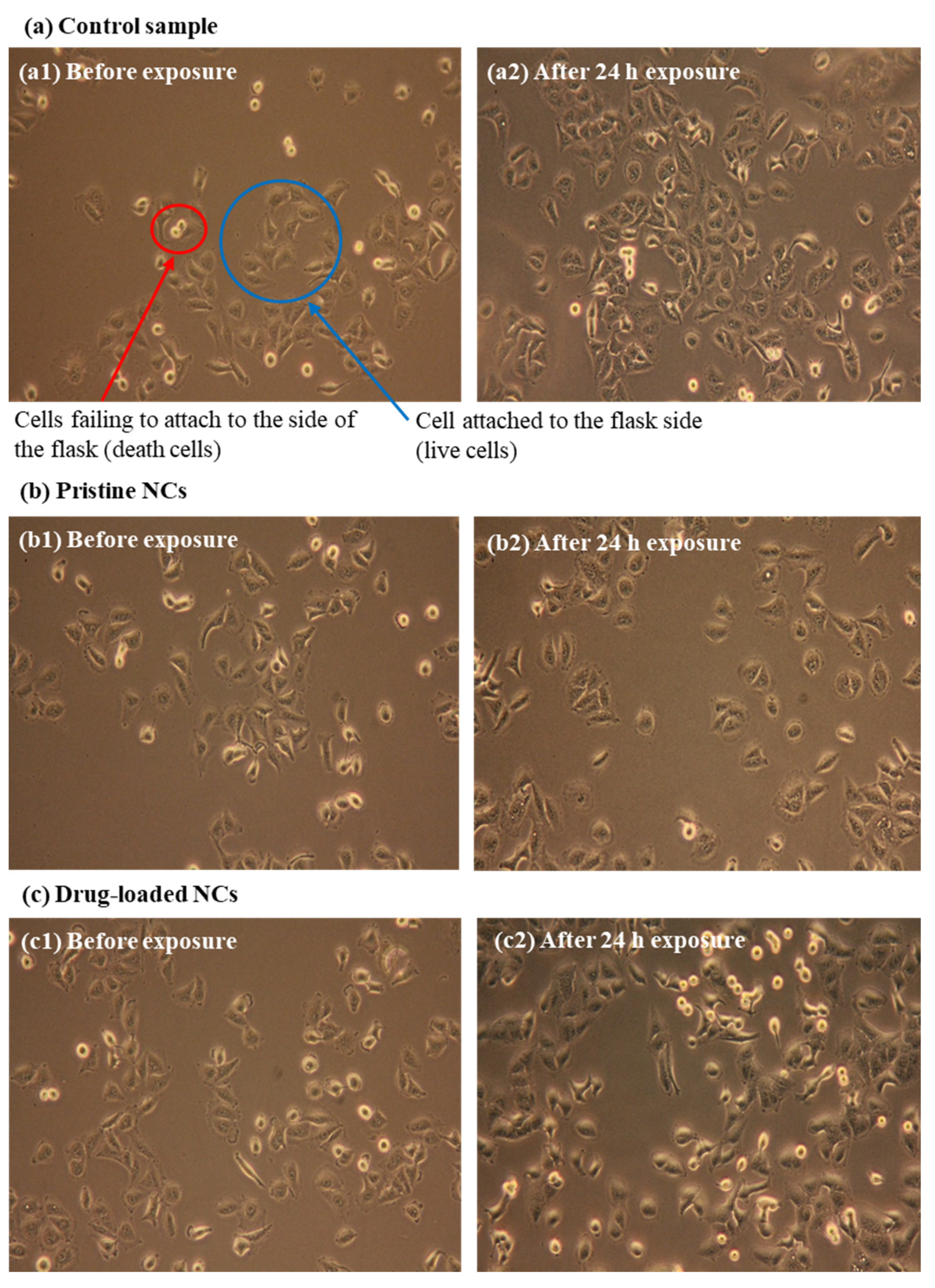 Pharmaceutics 14 00280 g009