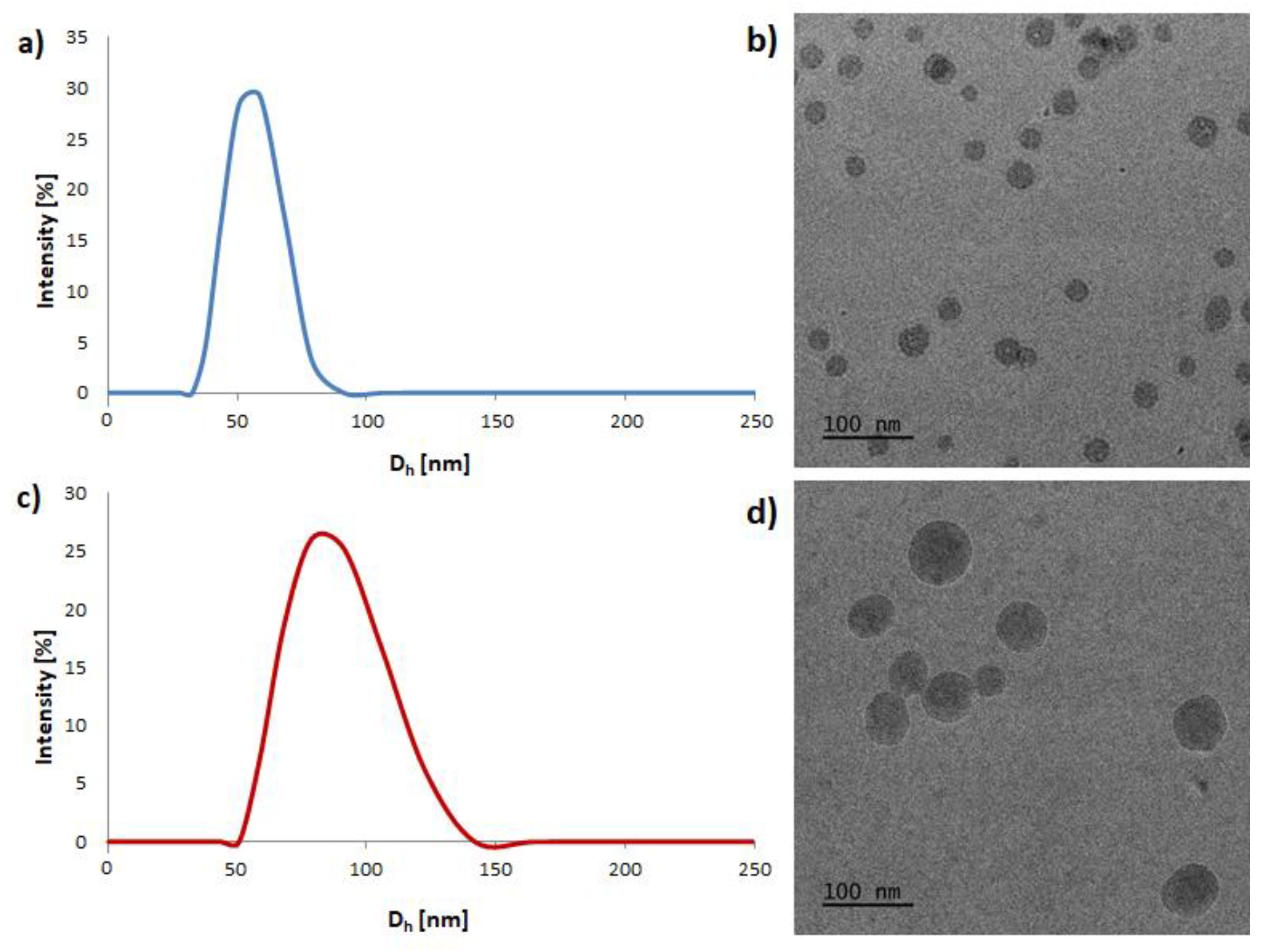 Pharmaceutics 14 00290 g002
