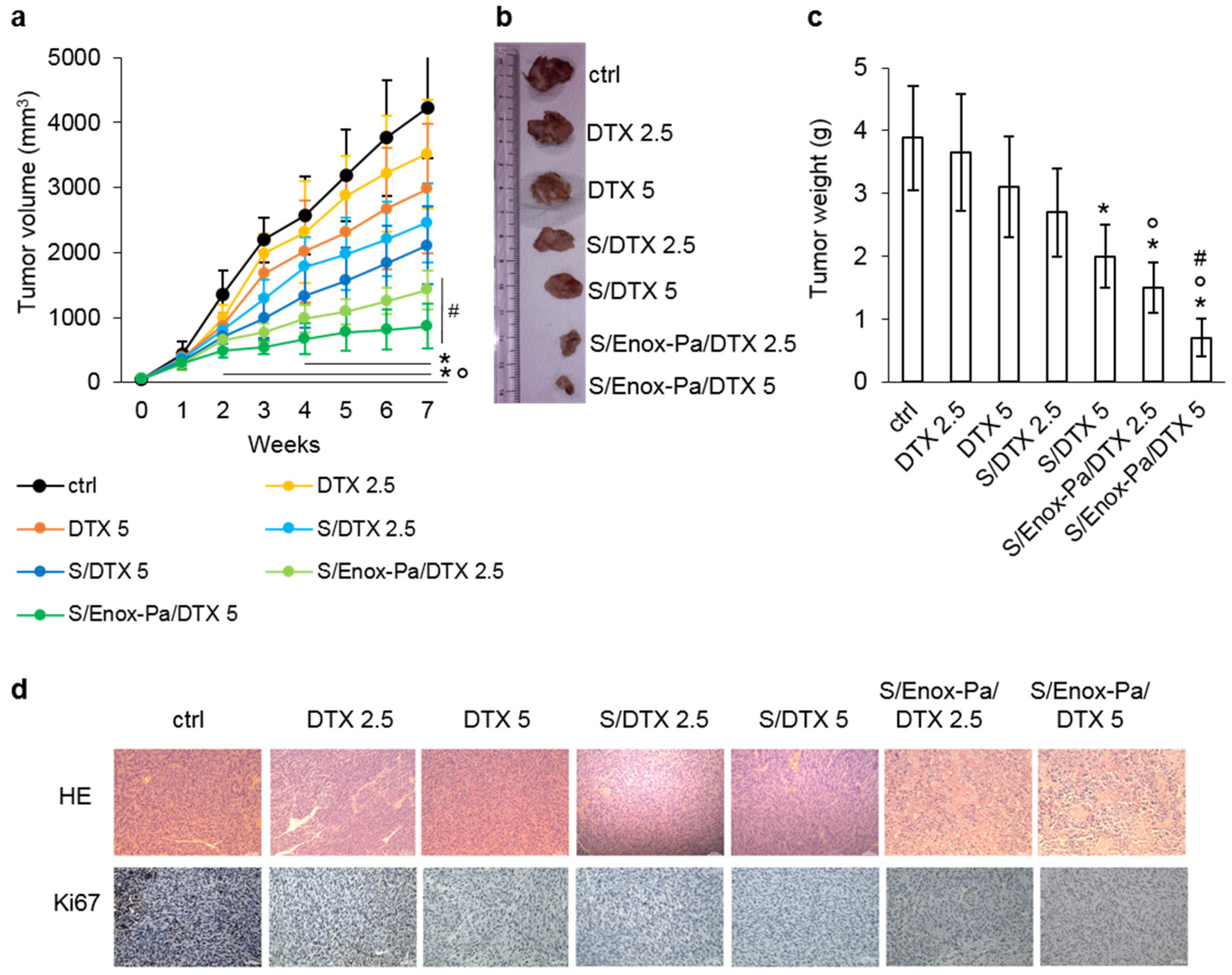 Pharmaceutics 14 00292 g004