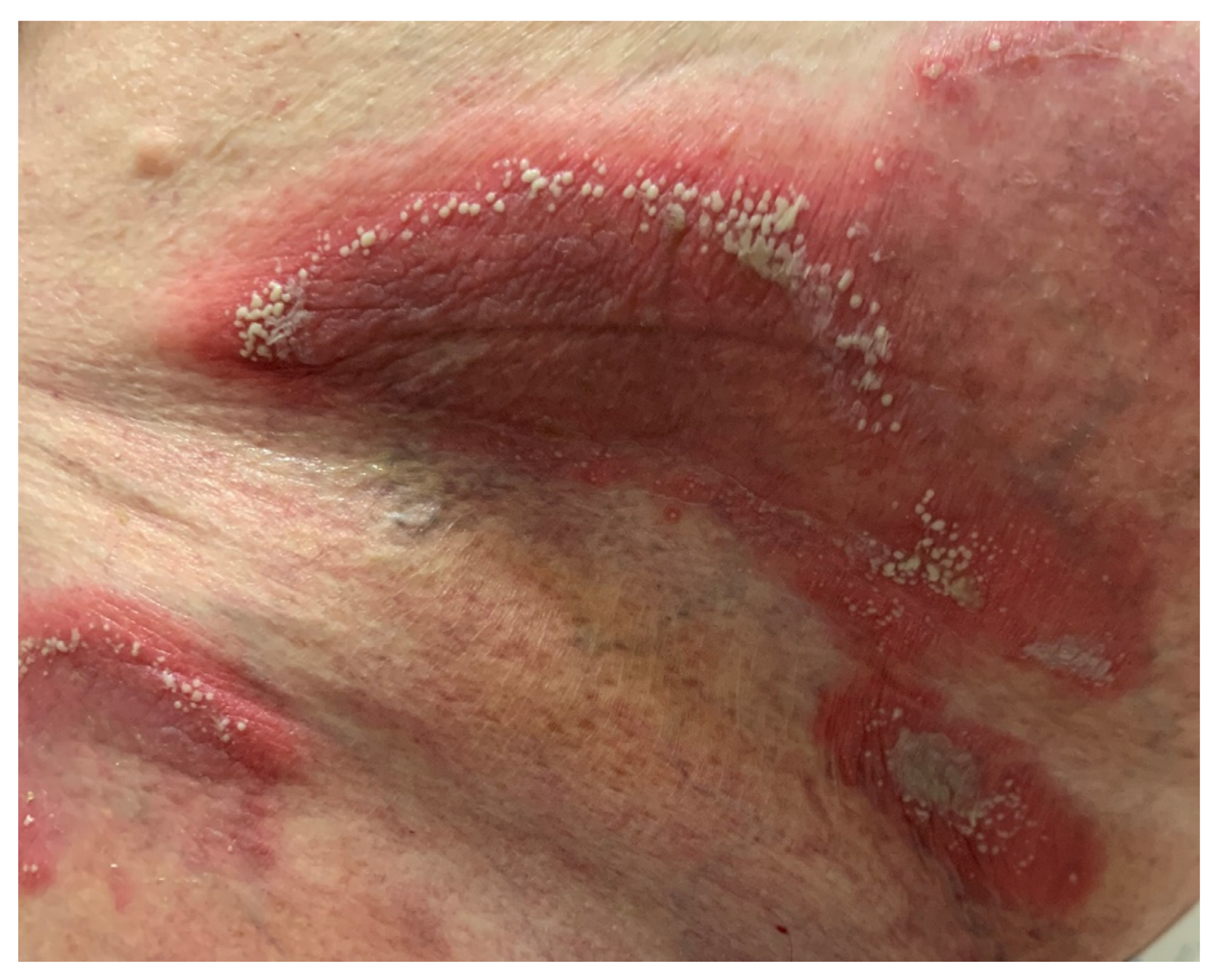 Pharmaceutics 14 00294 g006