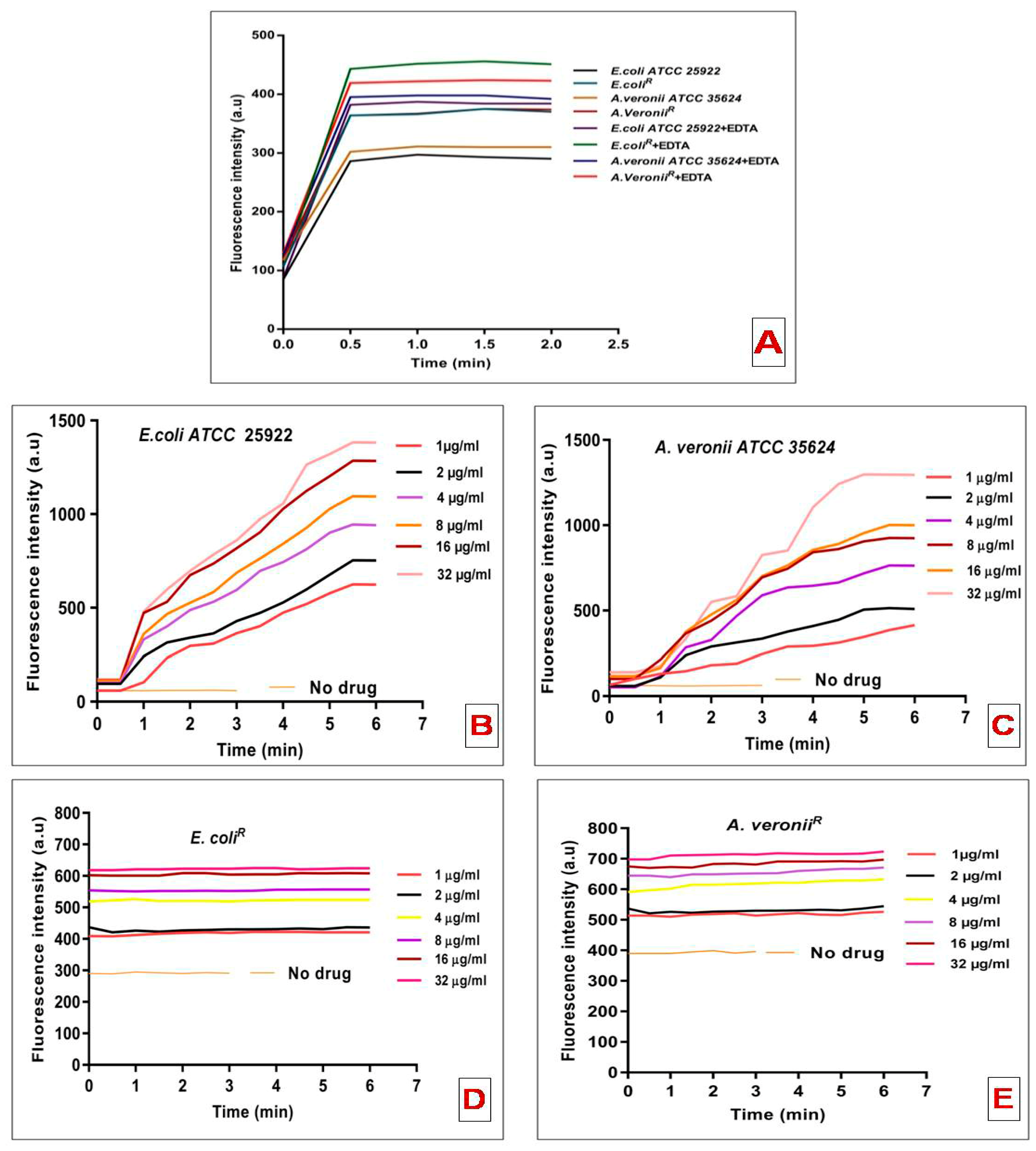Pharmaceutics 14 00295 g003 Pharmaceutics 14 00295 g003