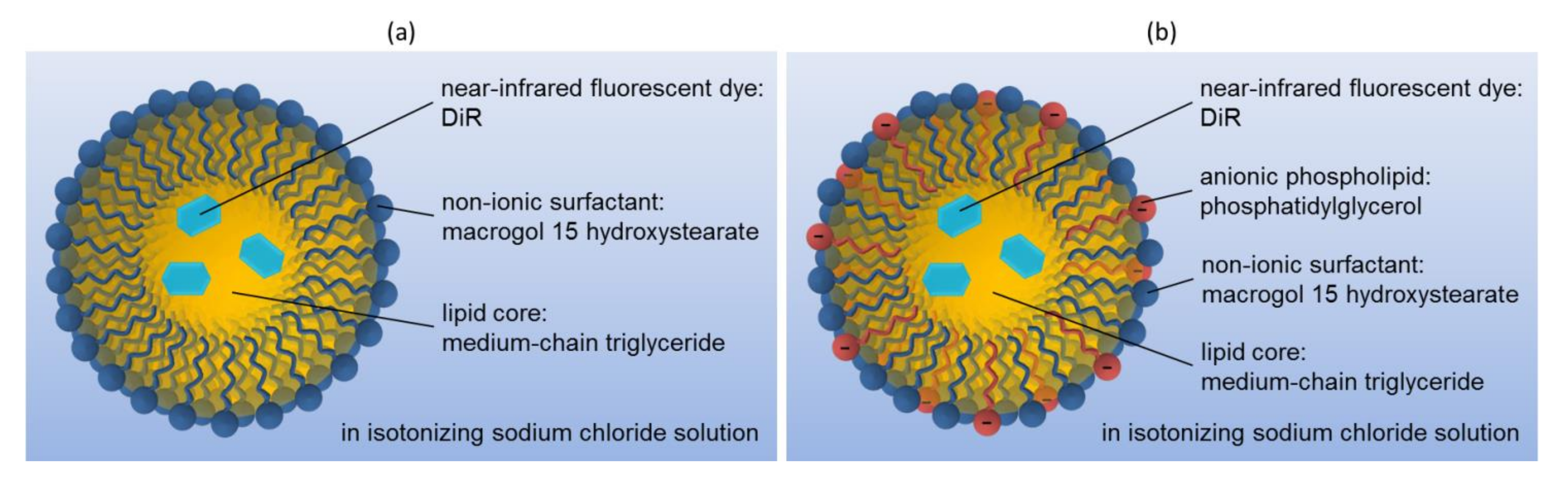 Pharmaceutics 14 00301 g001
