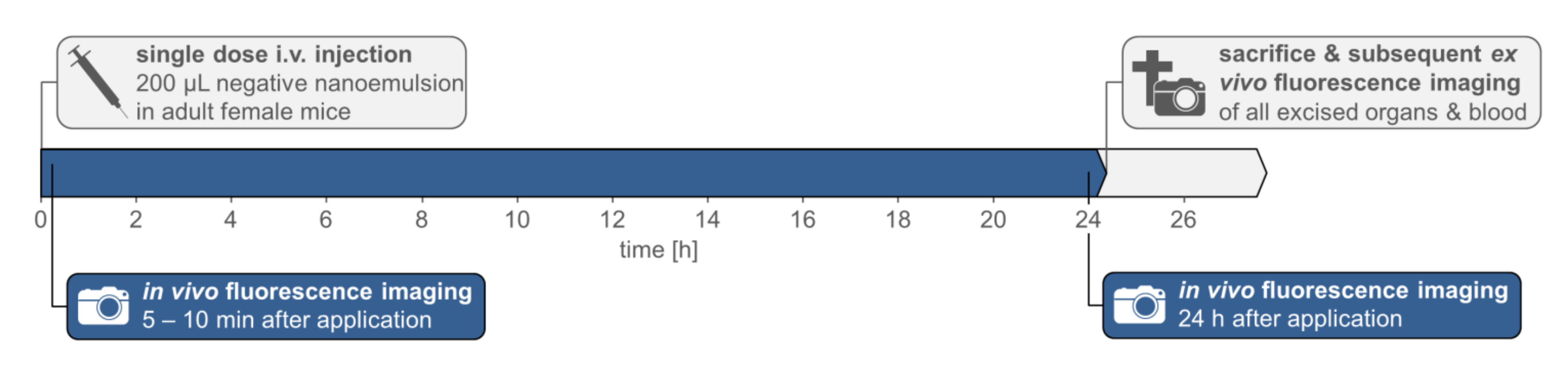Pharmaceutics 14 00301 g002