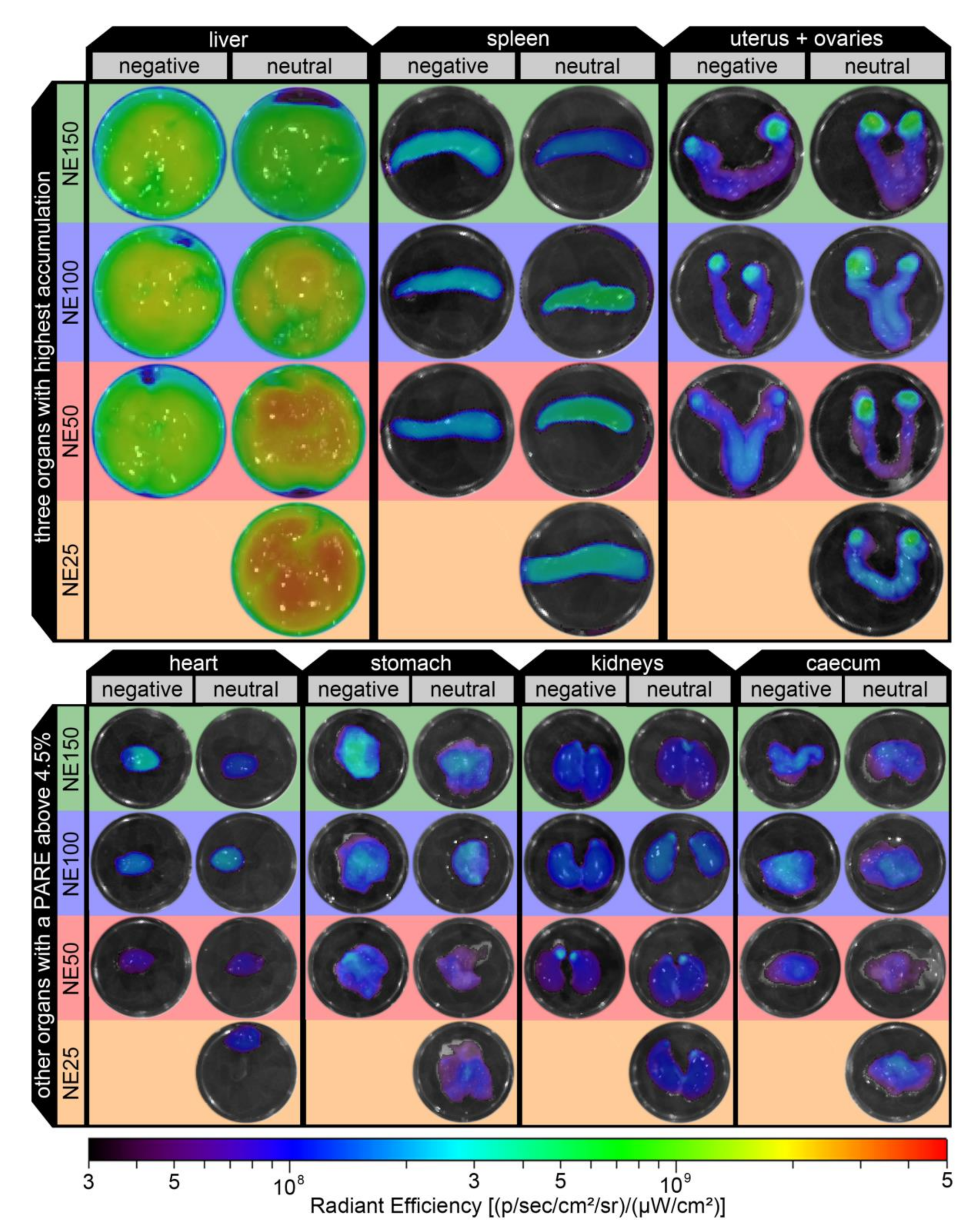 Pharmaceutics 14 00301 g012