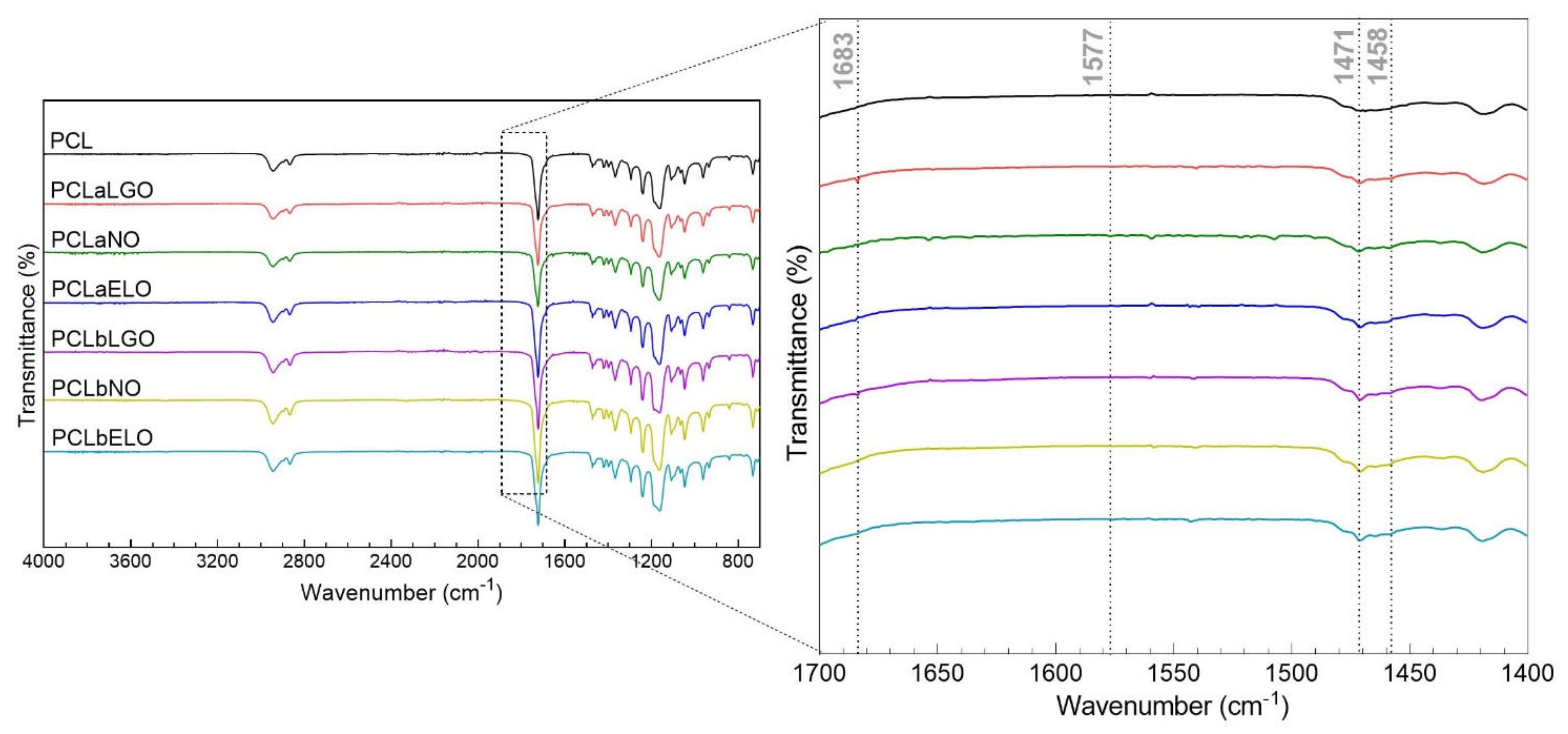 Pharmaceutics 14 00303 g002
