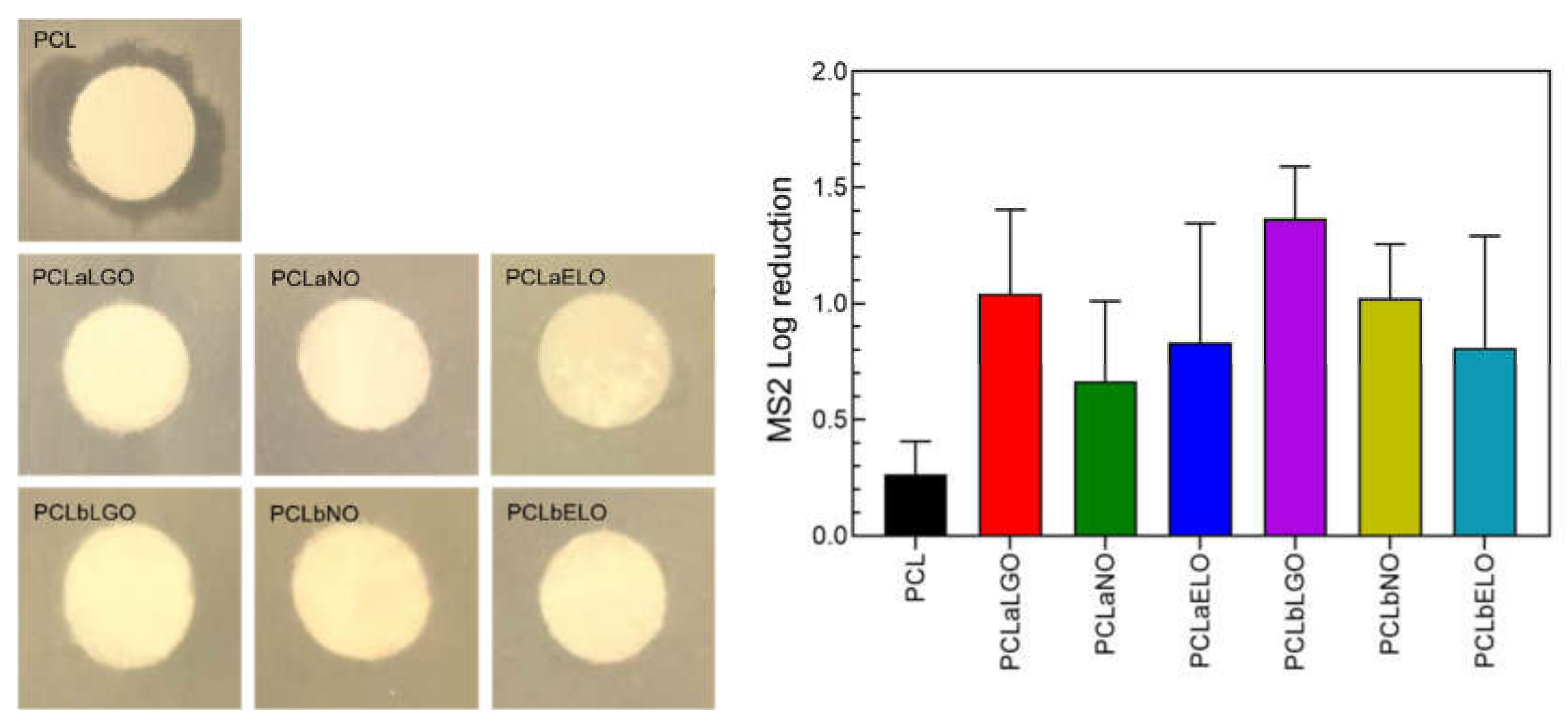 Pharmaceutics 14 00303 g006