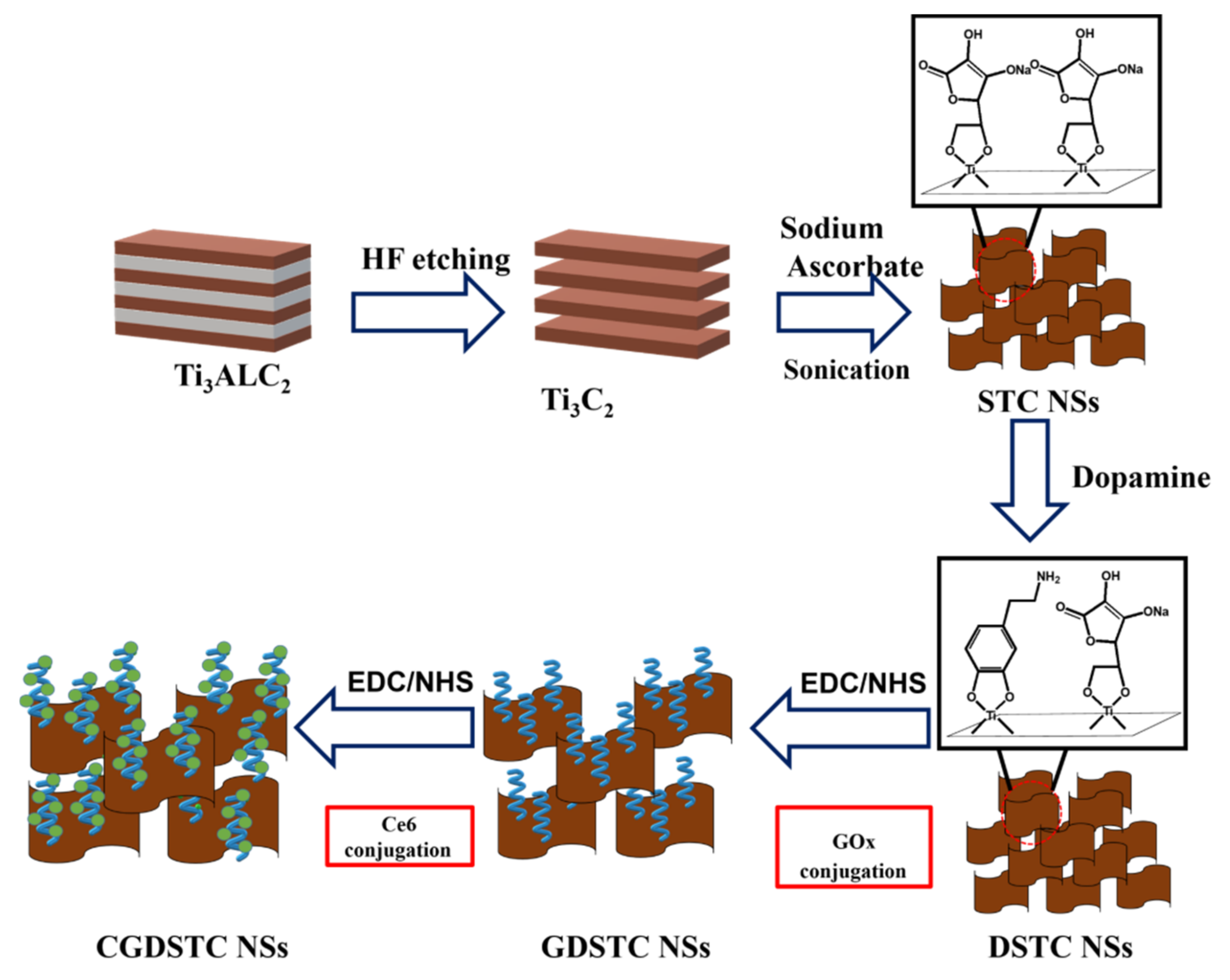 Pharmaceutics 14 00304 g001