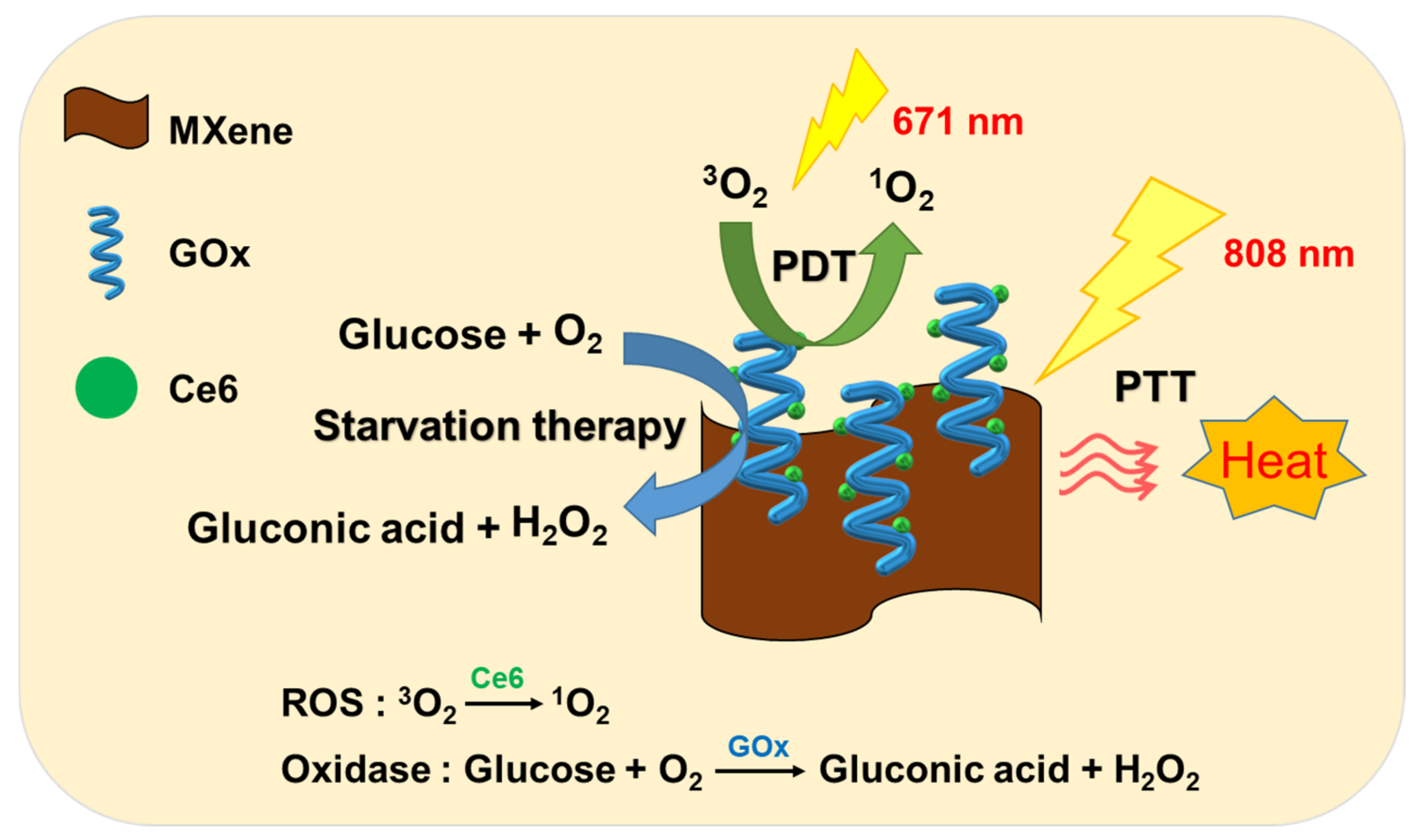 Pharmaceutics 14 00304 sch001