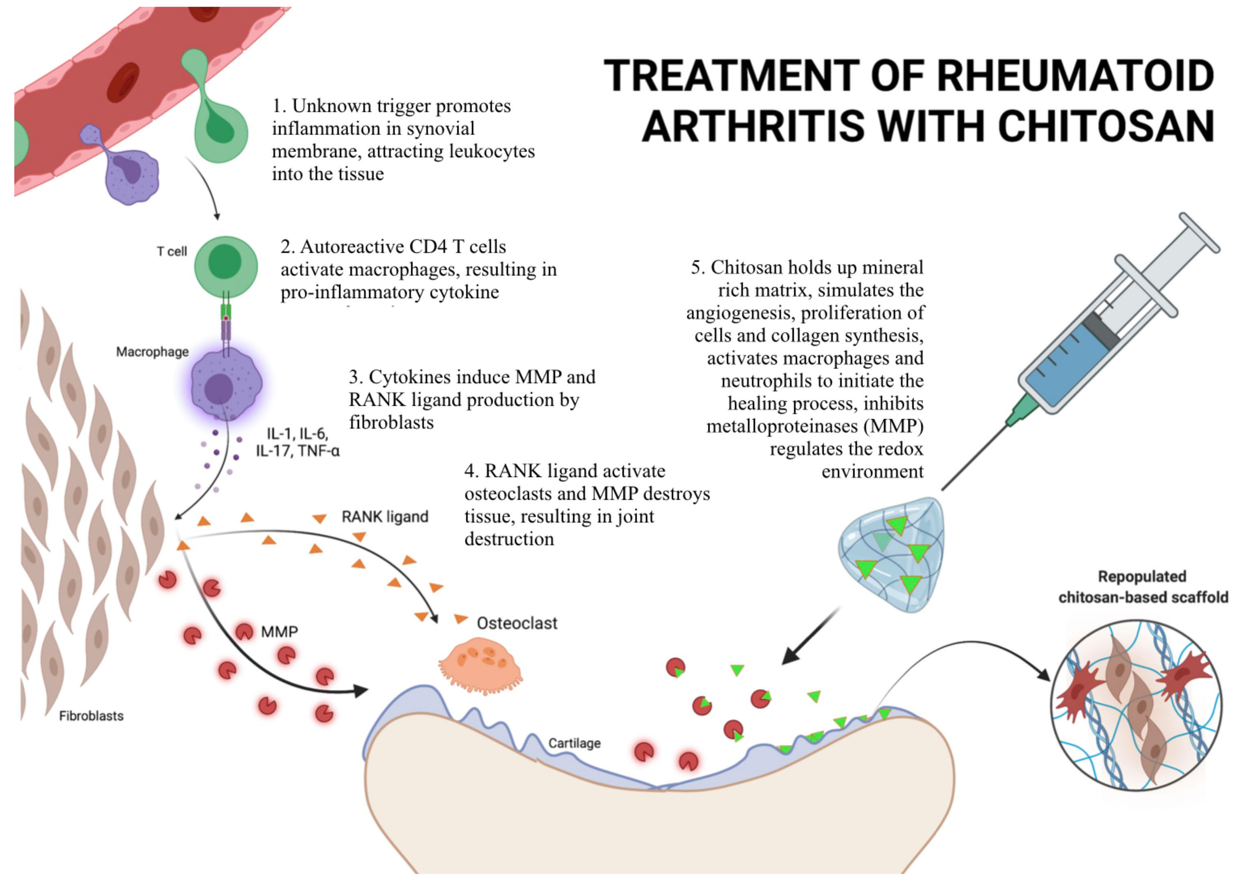 Pharmaceutics 14 00305 g005