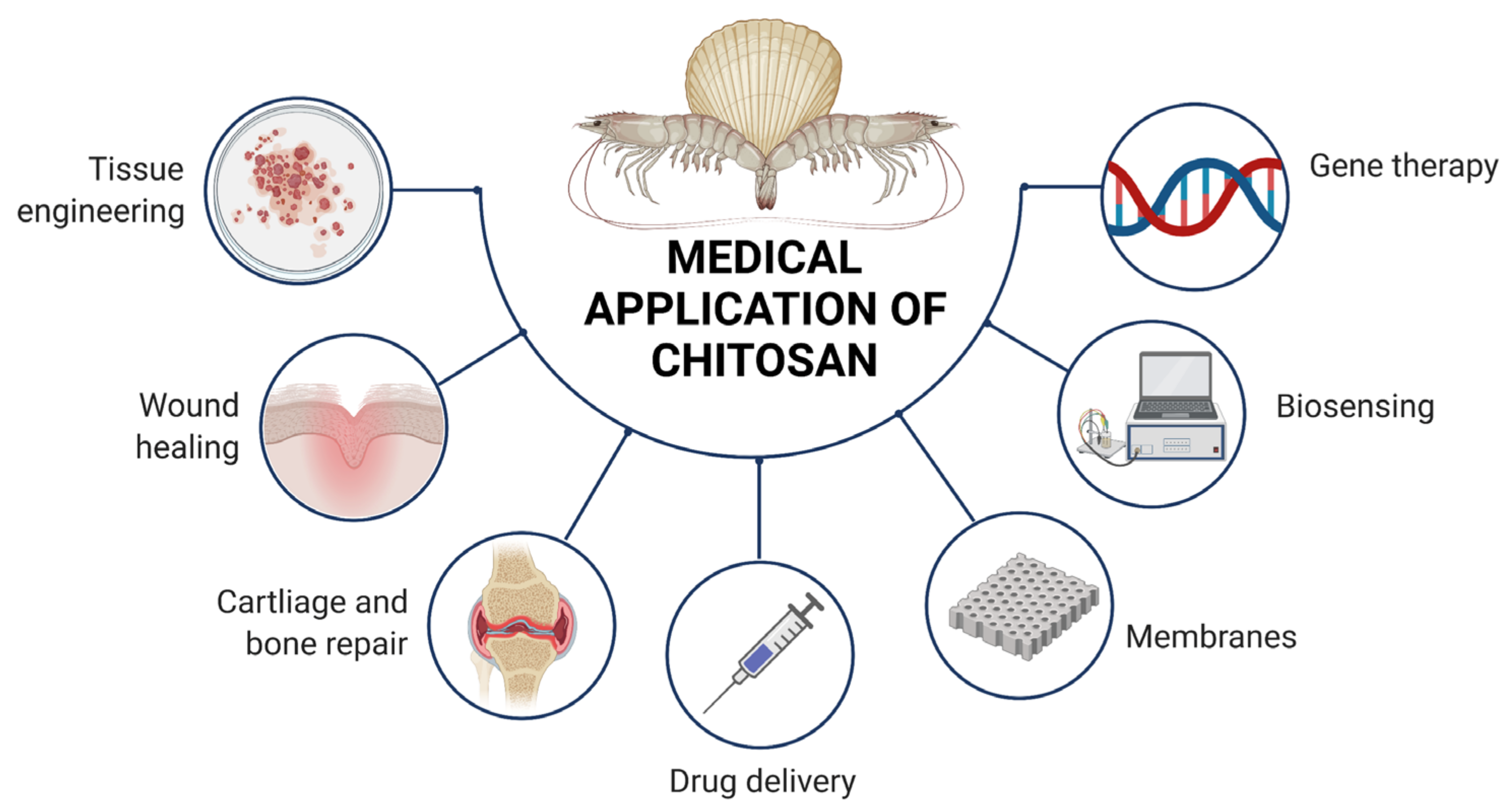 Pharmaceutics 14 00305 g006