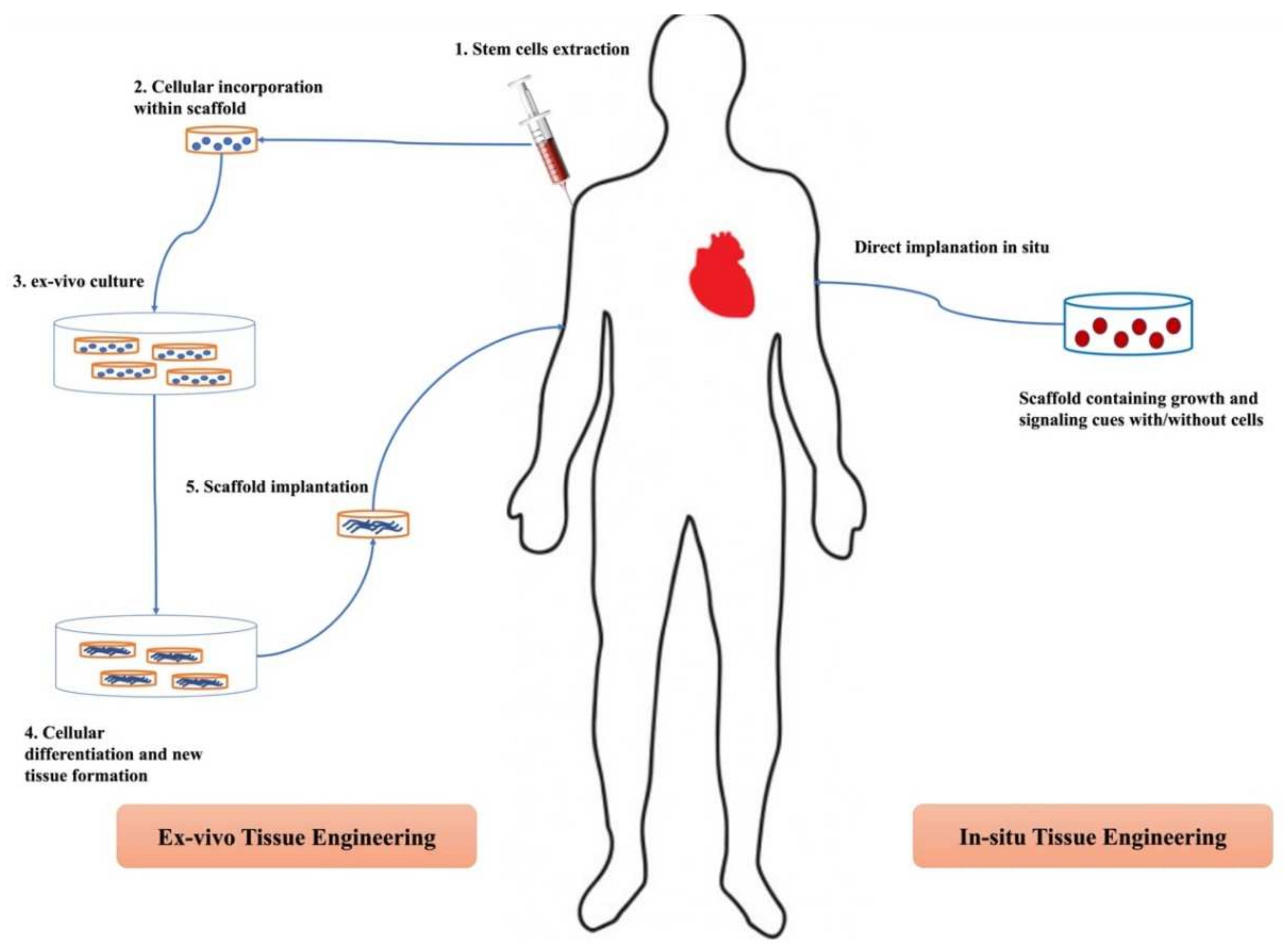 Pharmaceutics 14 00306 g001
