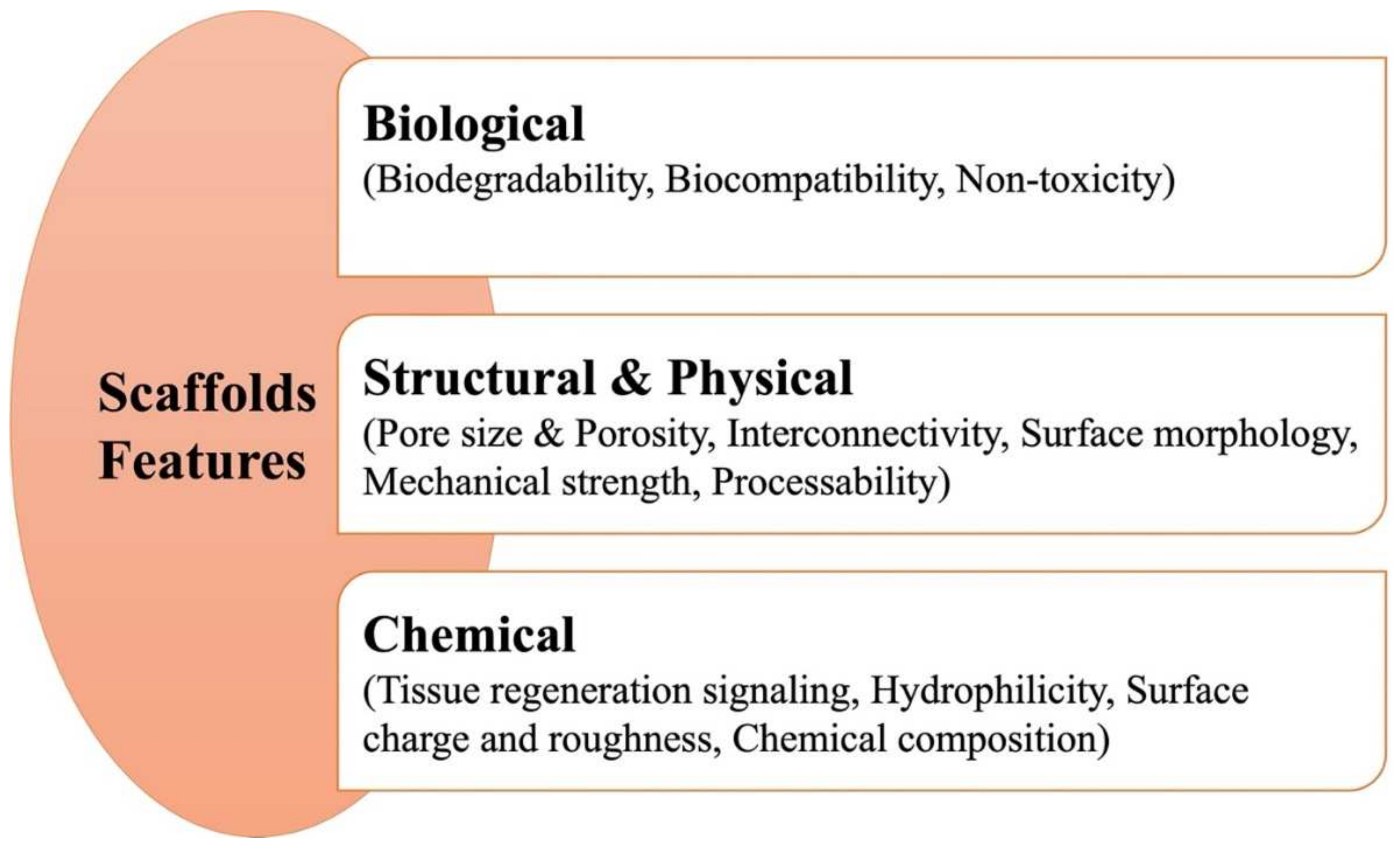 Pharmaceutics 14 00306 g002