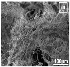 Pharmaceutics 14 00306 i001