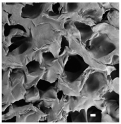 Pharmaceutics 14 00306 i002