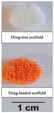 Pharmaceutics 14 00306 i003