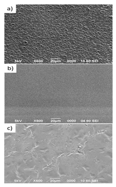 Pharmaceutics 14 00306 i004