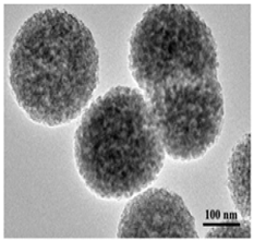 Pharmaceutics 14 00306 i005