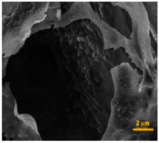 Pharmaceutics 14 00306 i006
