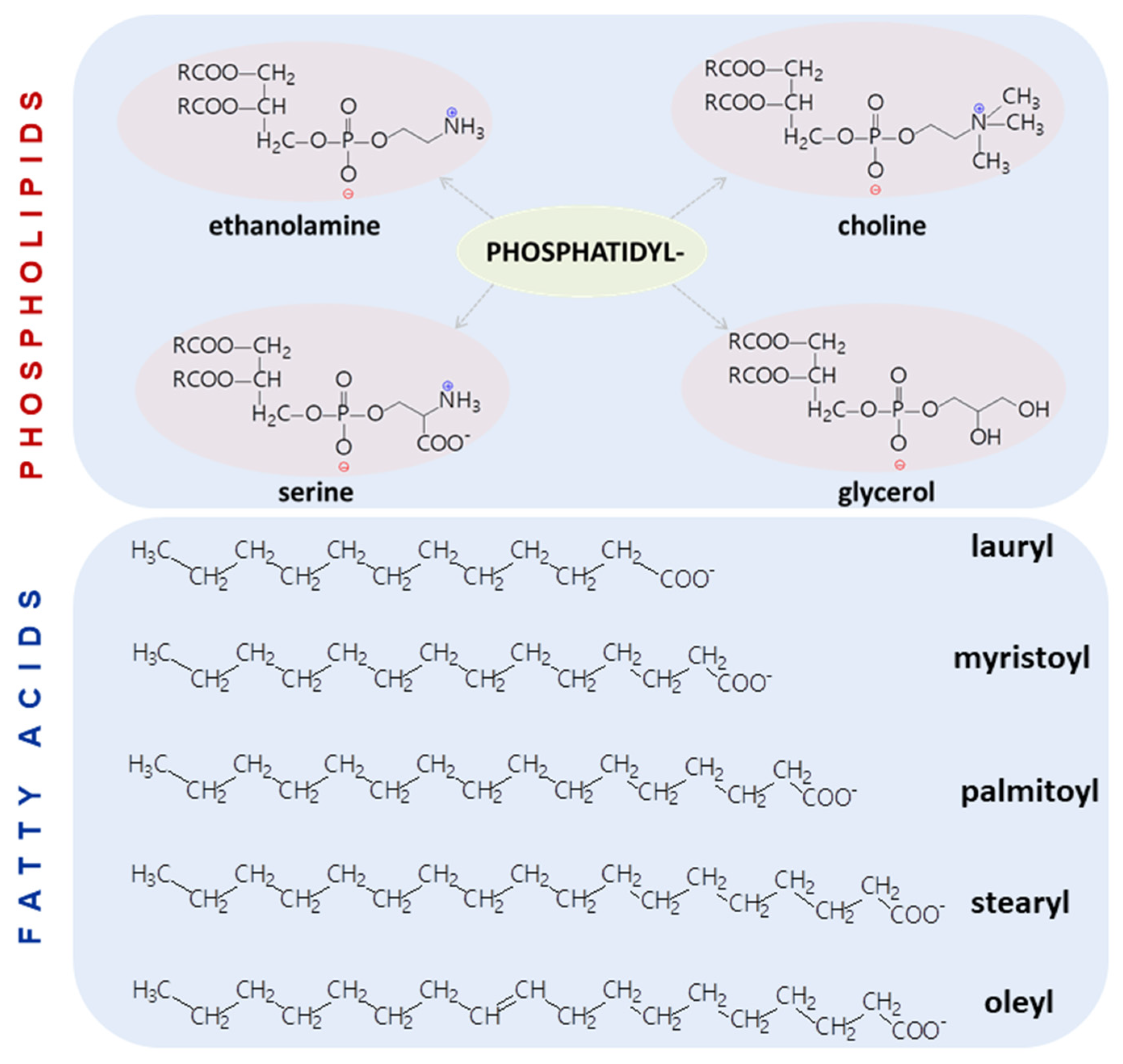 Pharmaceutics 14 00308 g006