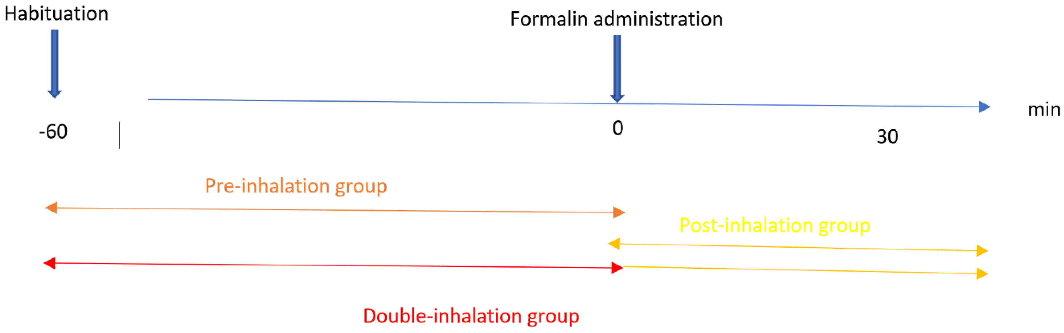 Pharmaceutics 14 00312 g001