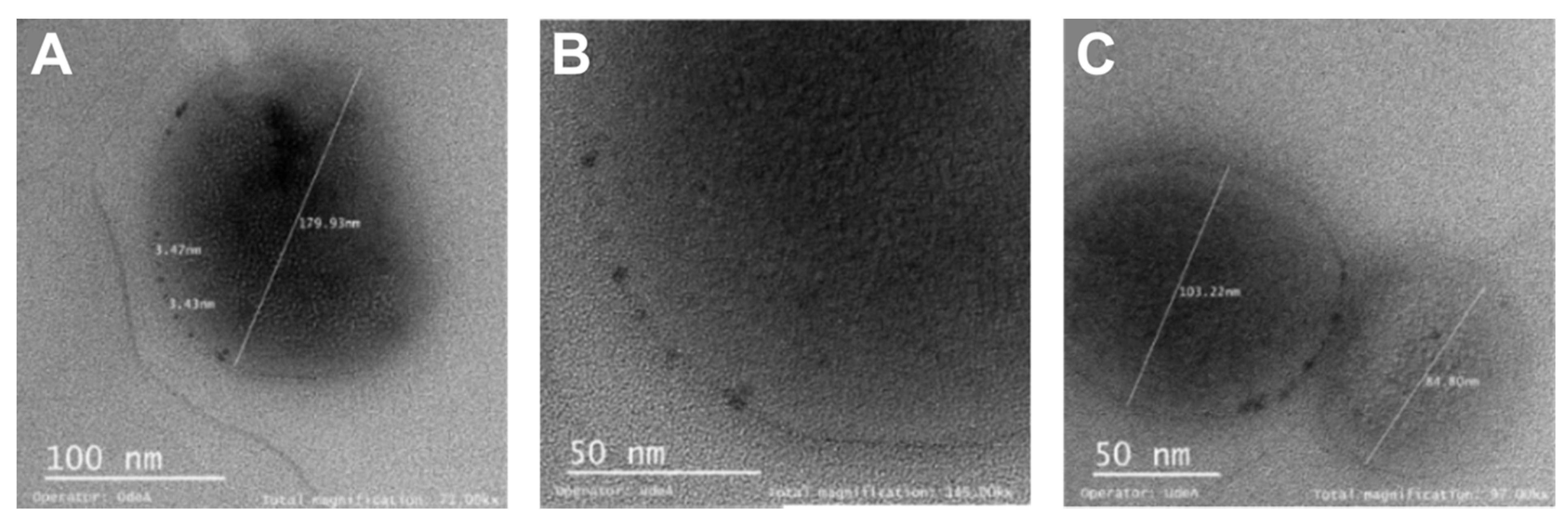 Pharmaceutics 14 00315 g003