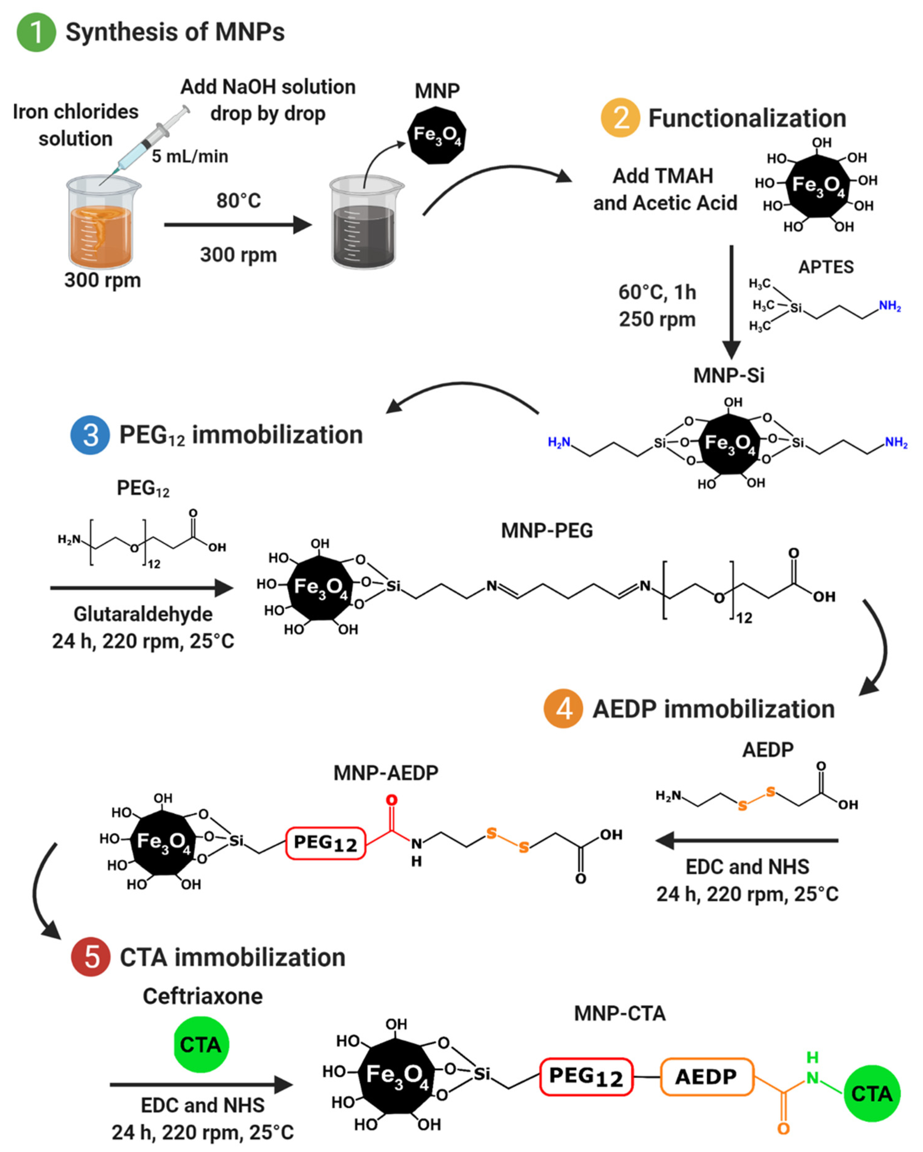 Pharmaceutics 14 00315 sch001