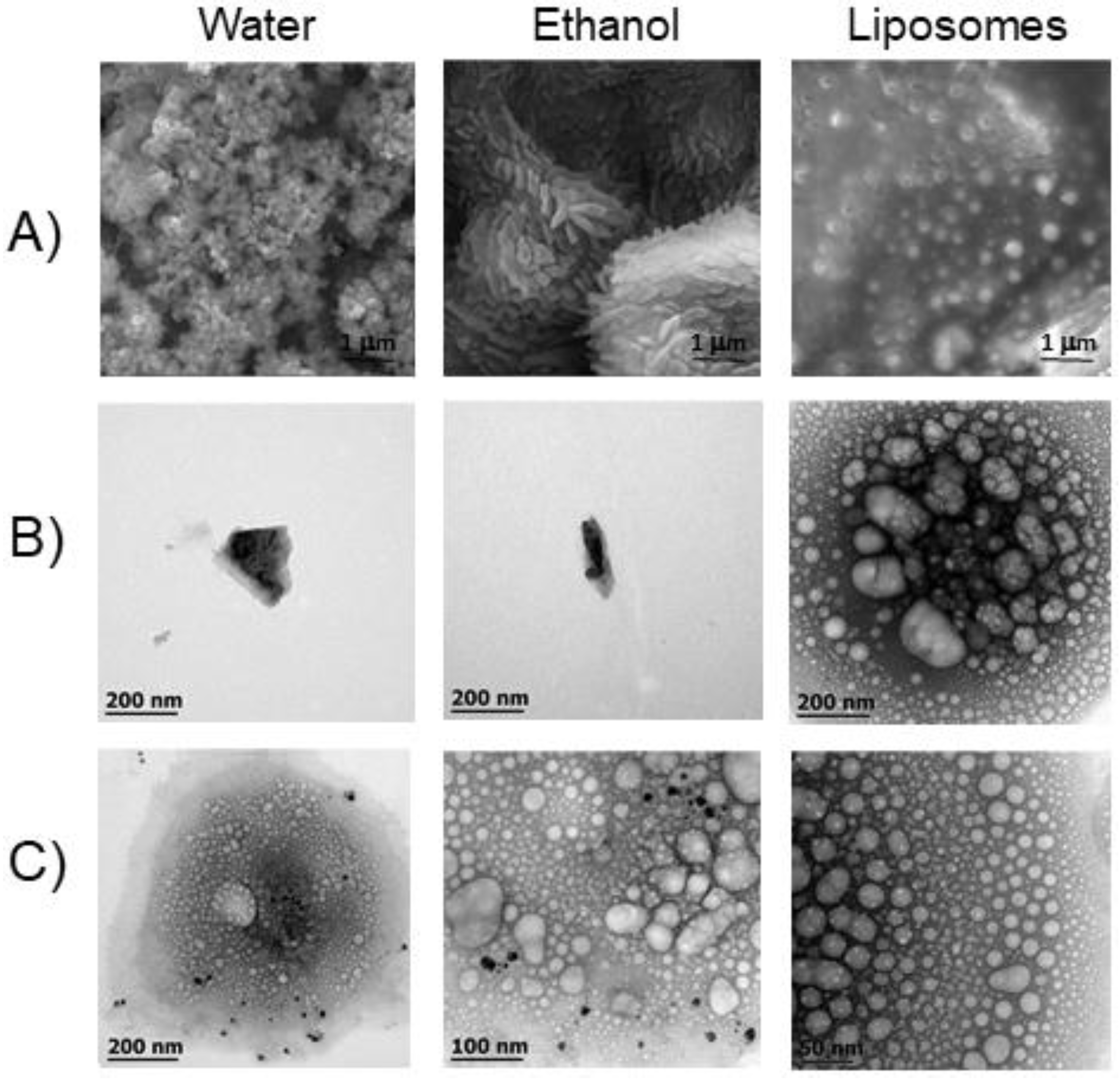 Pharmaceutics 14 00316 g001