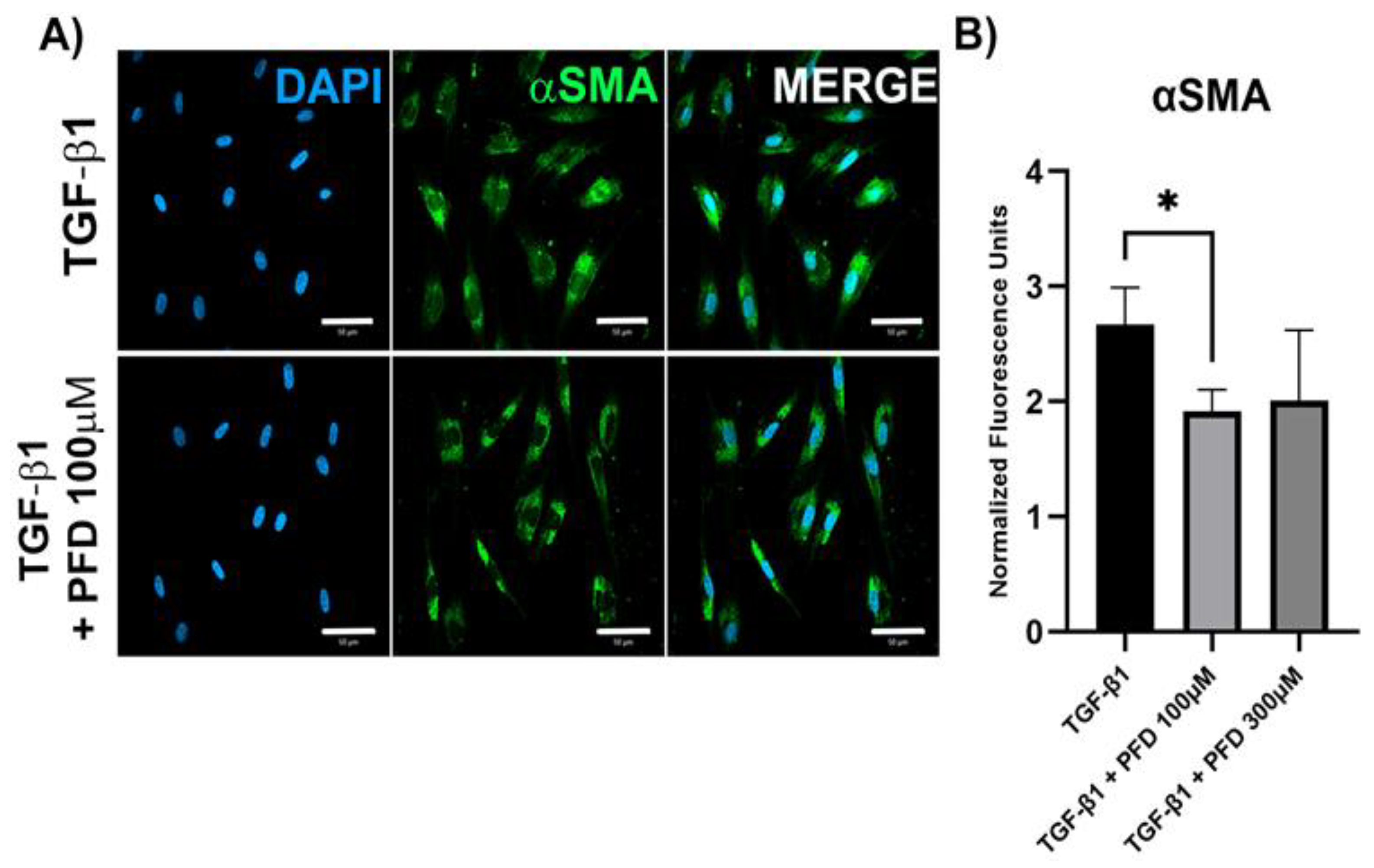 Pharmaceutics 14 00316 g003