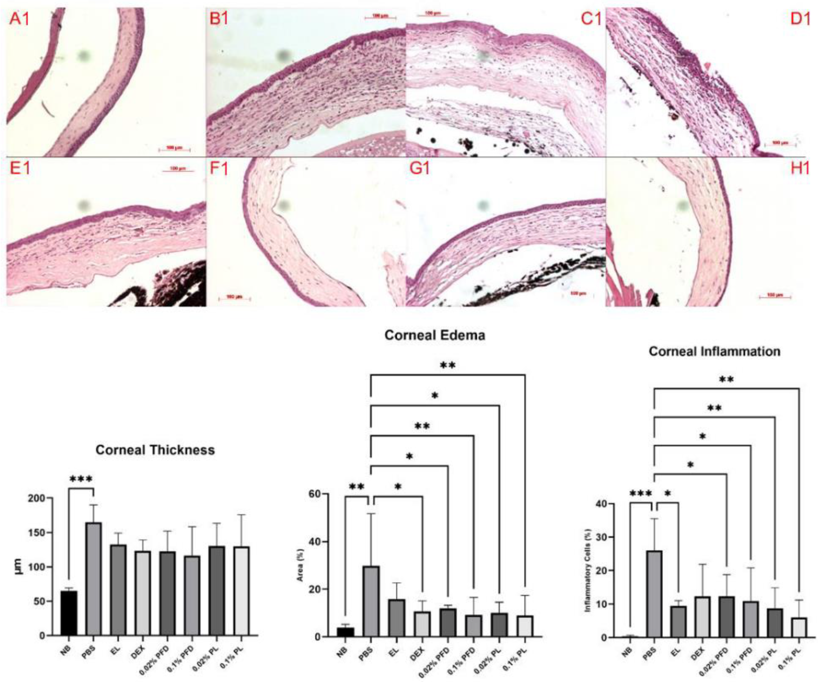Pharmaceutics 14 00316 g005