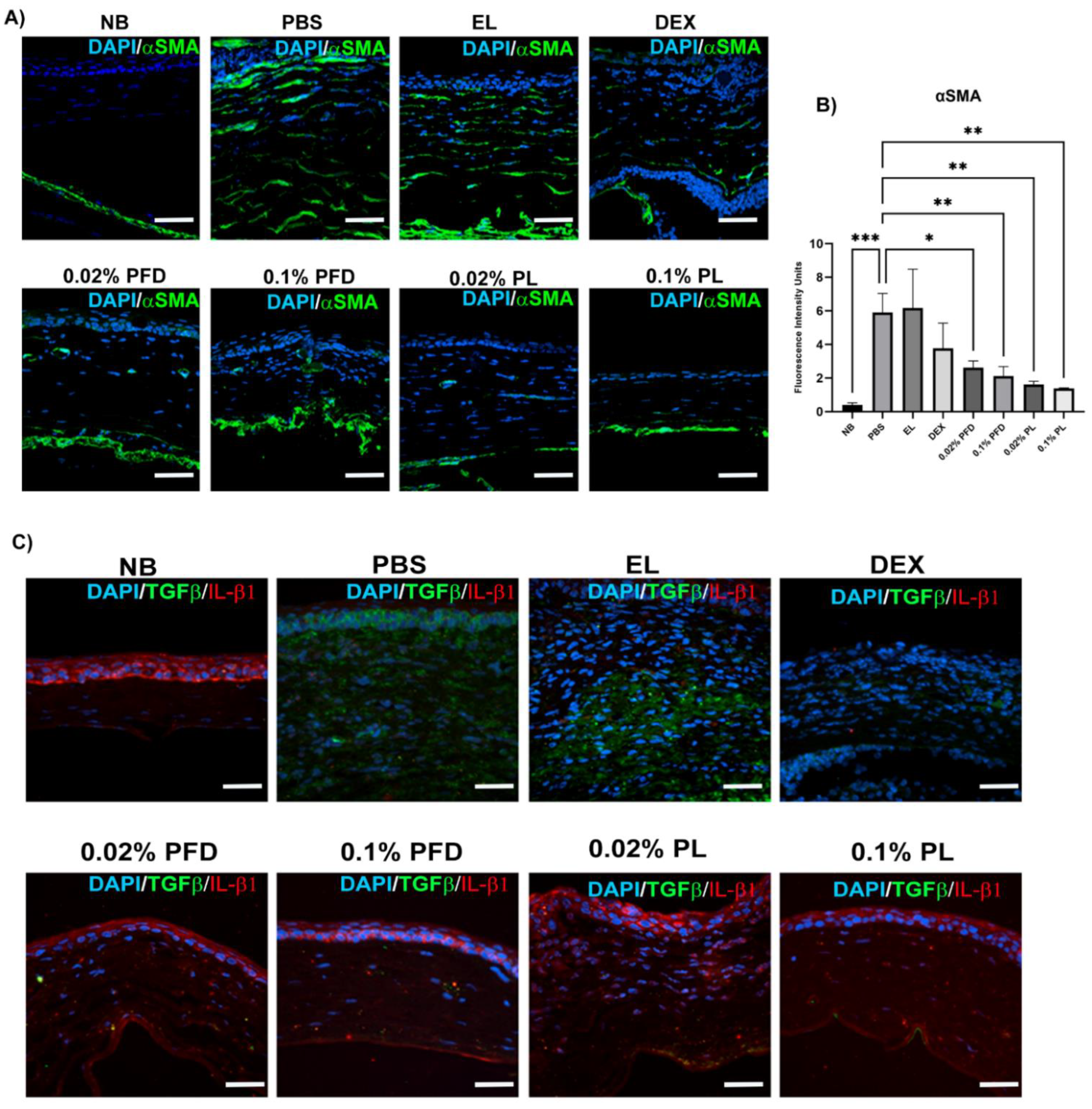 Pharmaceutics 14 00316 g006