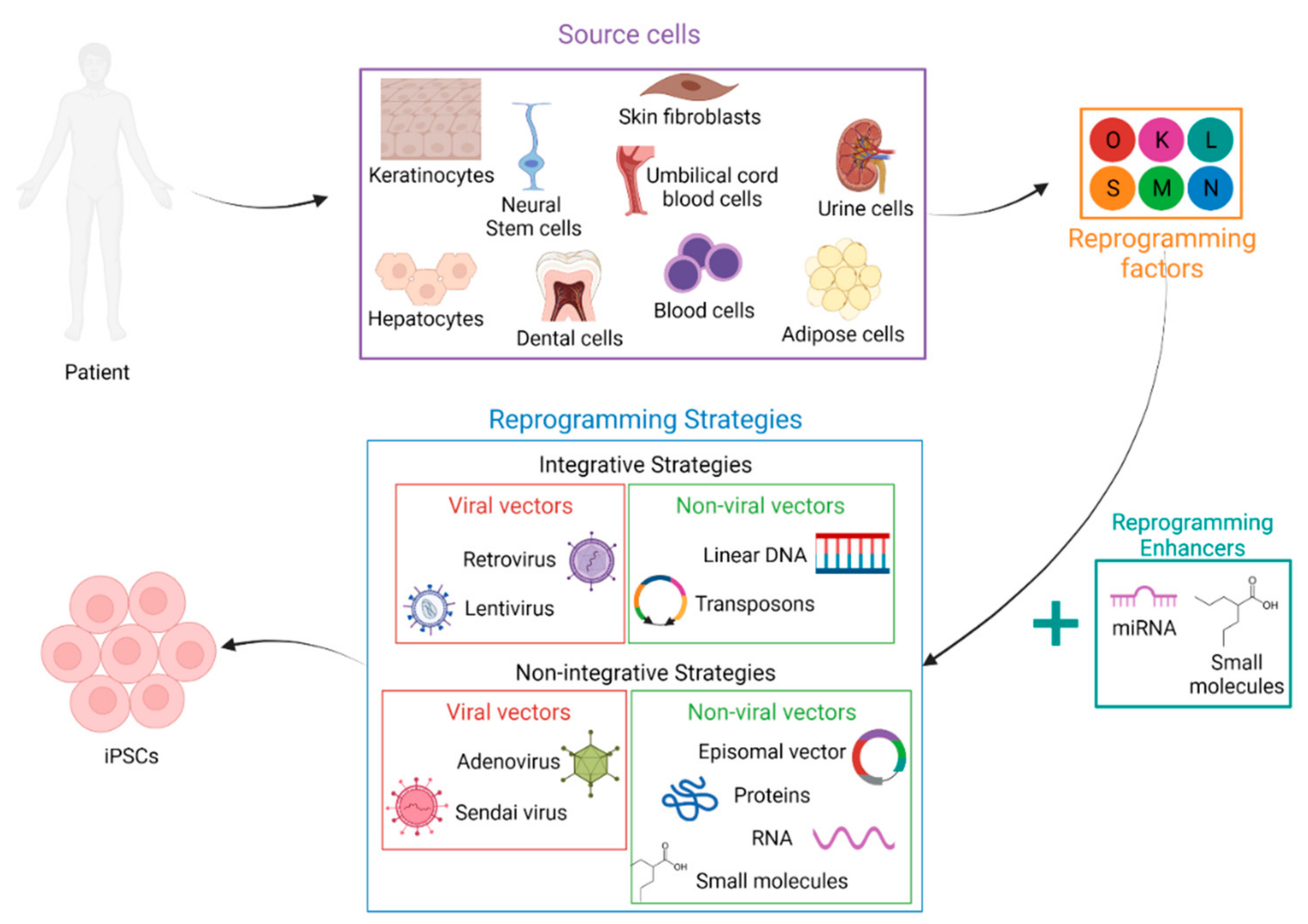 Pharmaceutics 14 00317 g001