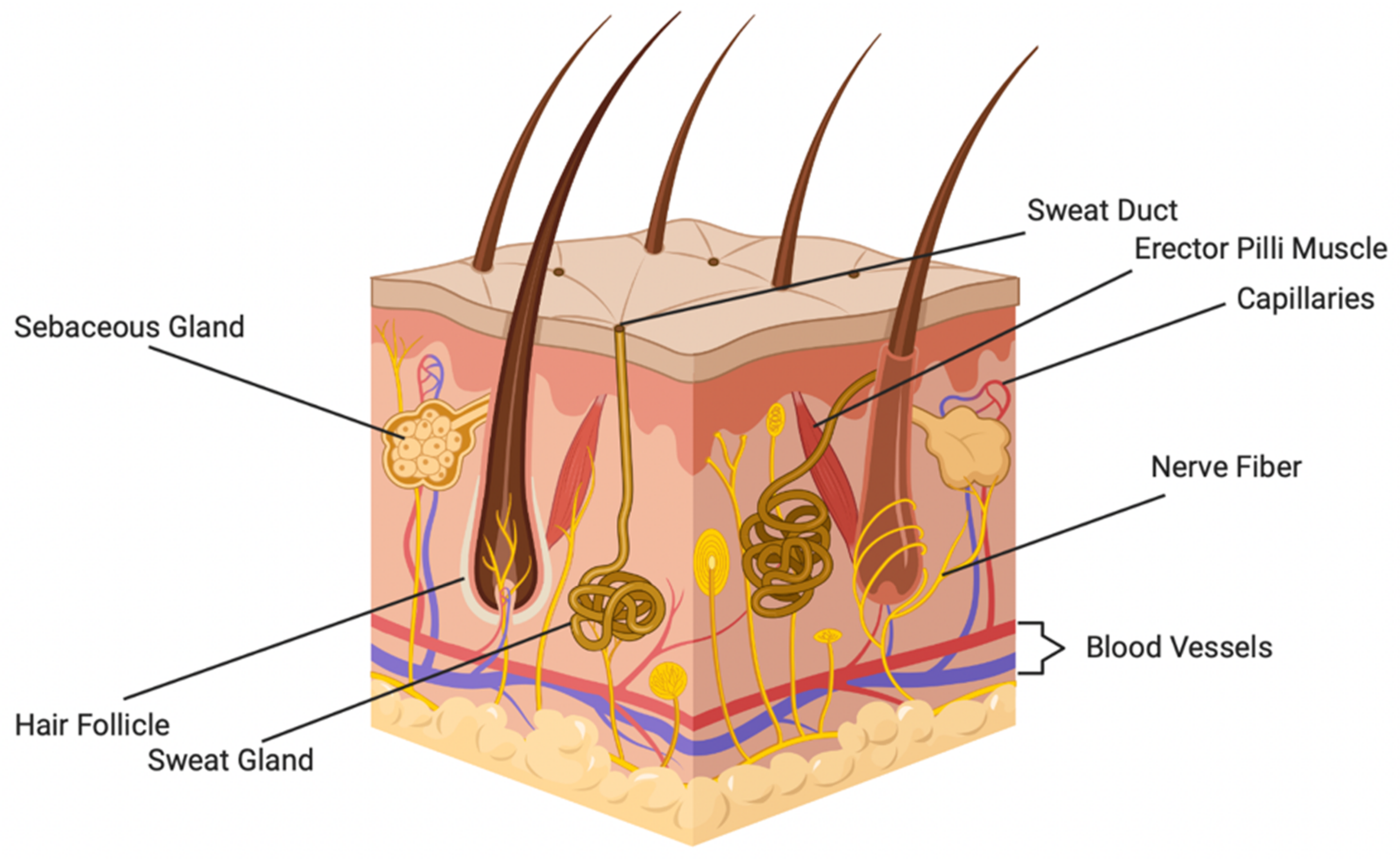 Pharmaceutics 14 00319 g001