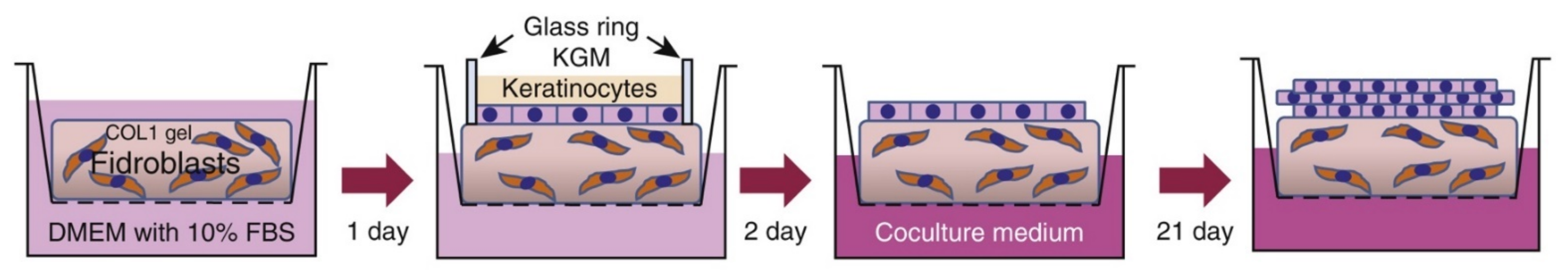 Pharmaceutics 14 00319 g002