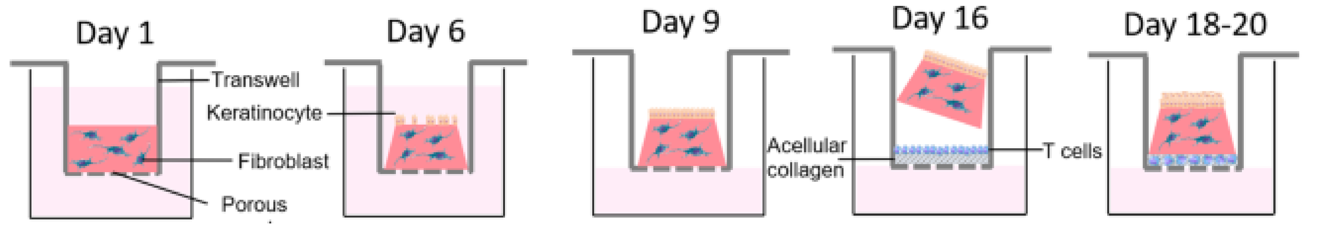 Pharmaceutics 14 00319 g003